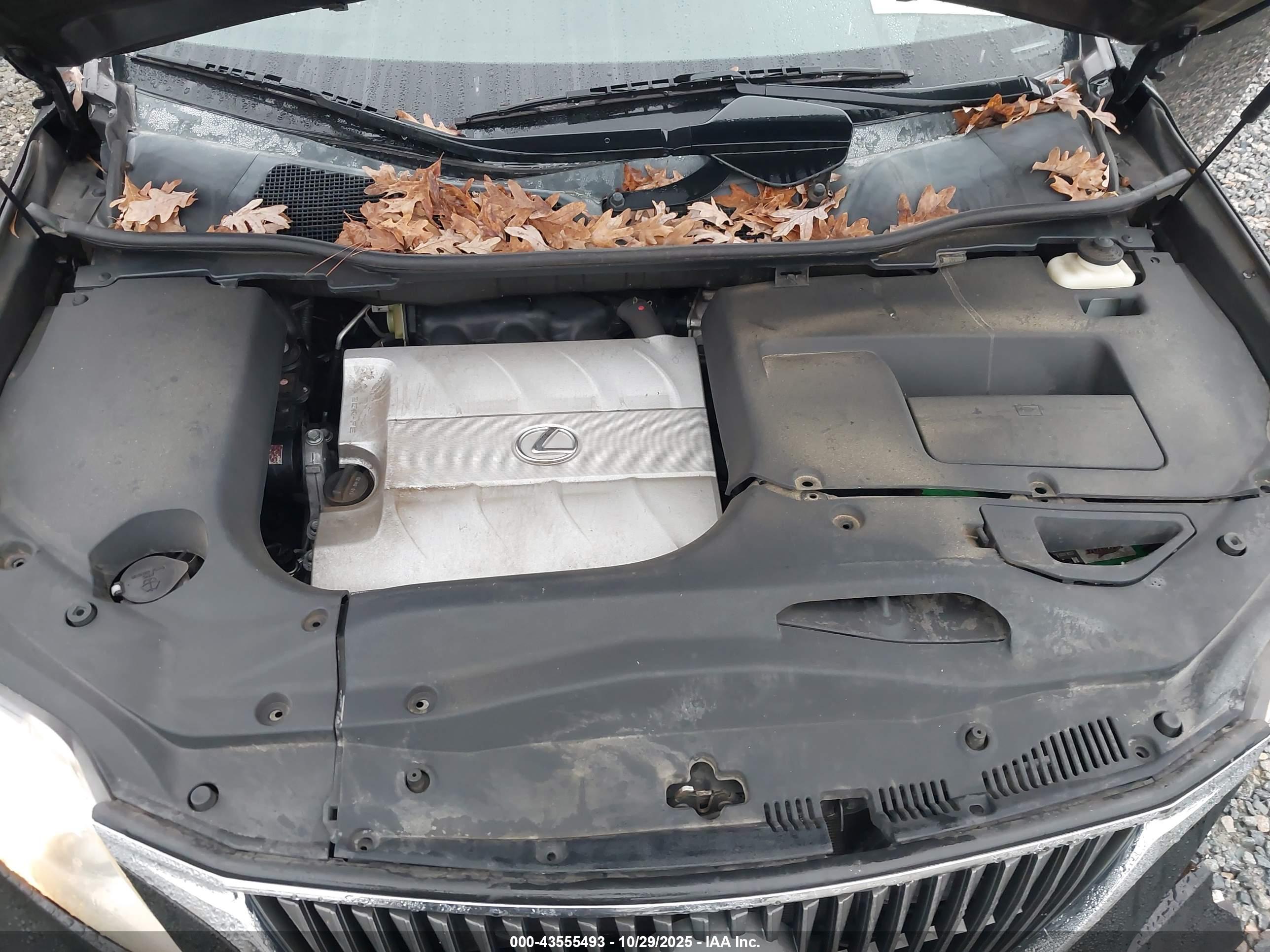 LEXUS RX image 10