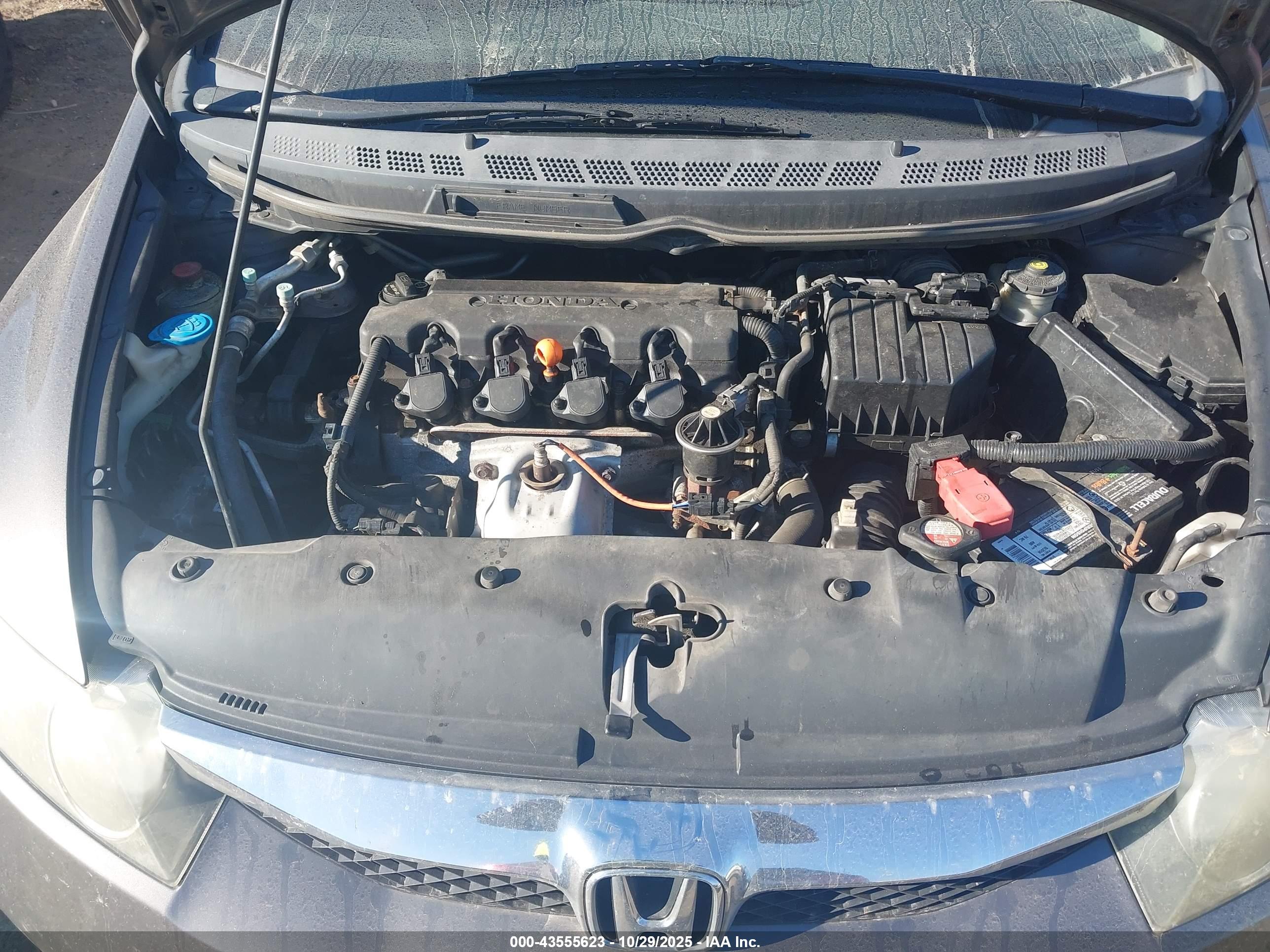 HONDA CIVIC image 10