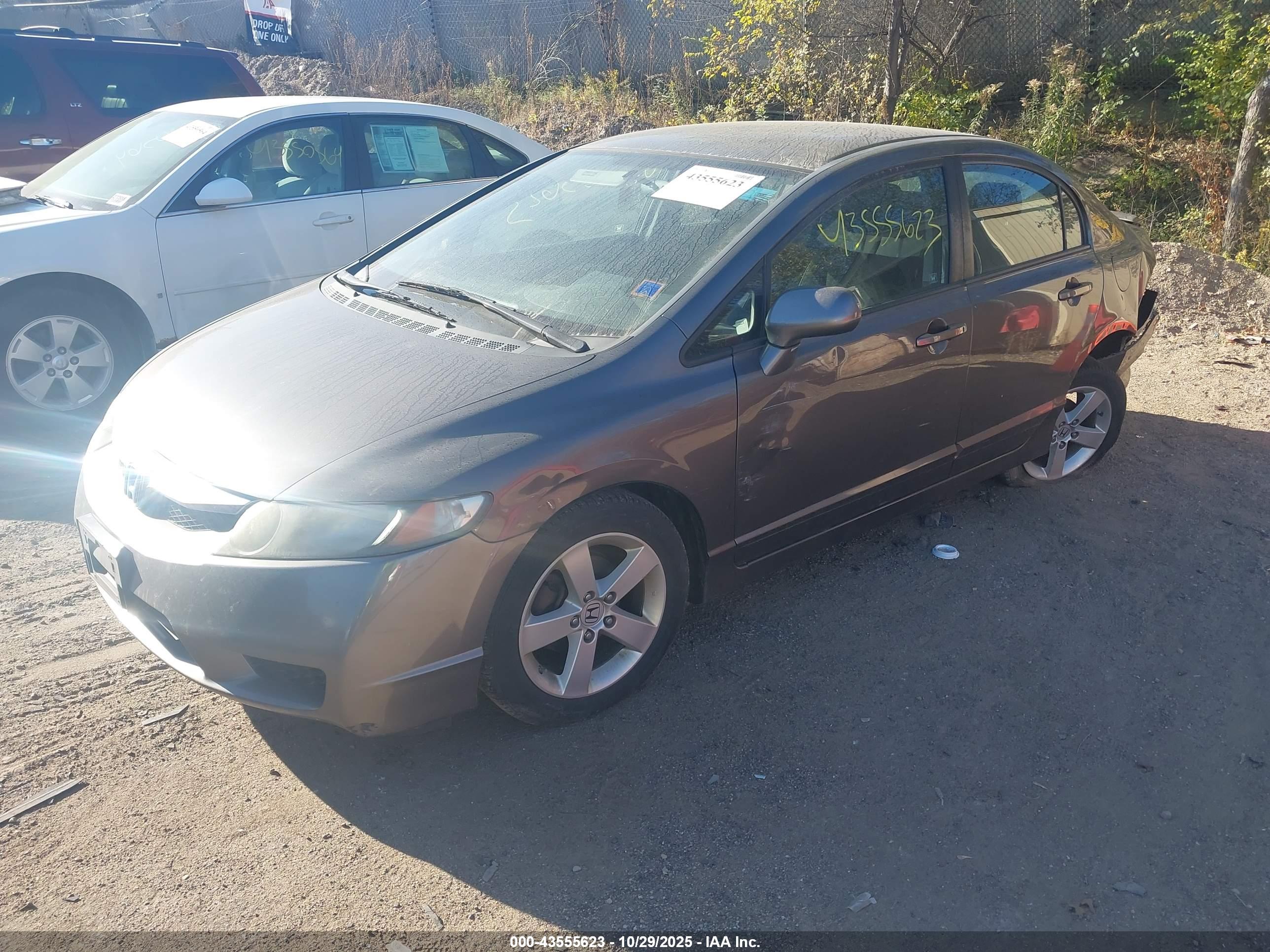 HONDA CIVIC image 2
