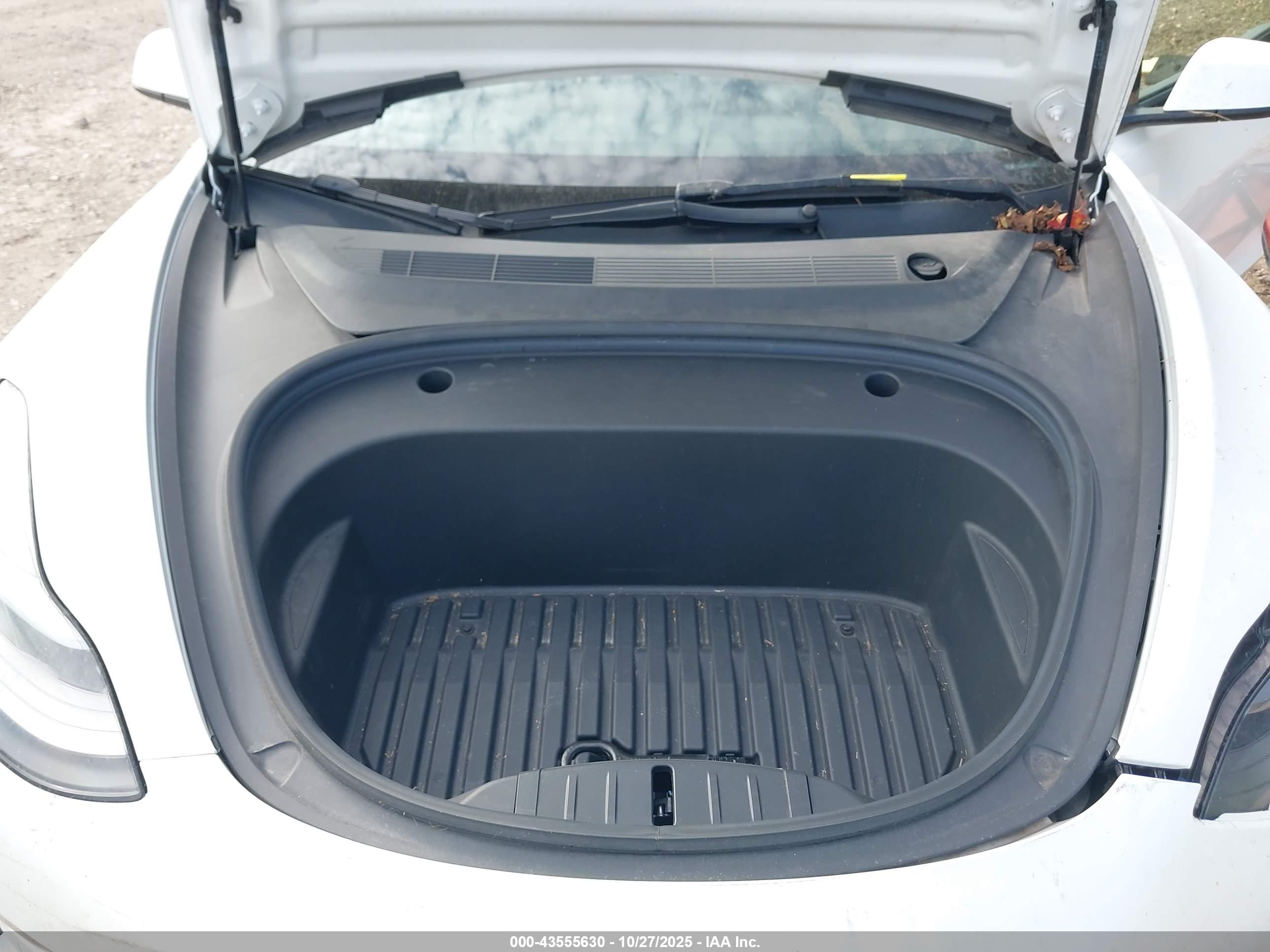 TESLA MODEL image 10