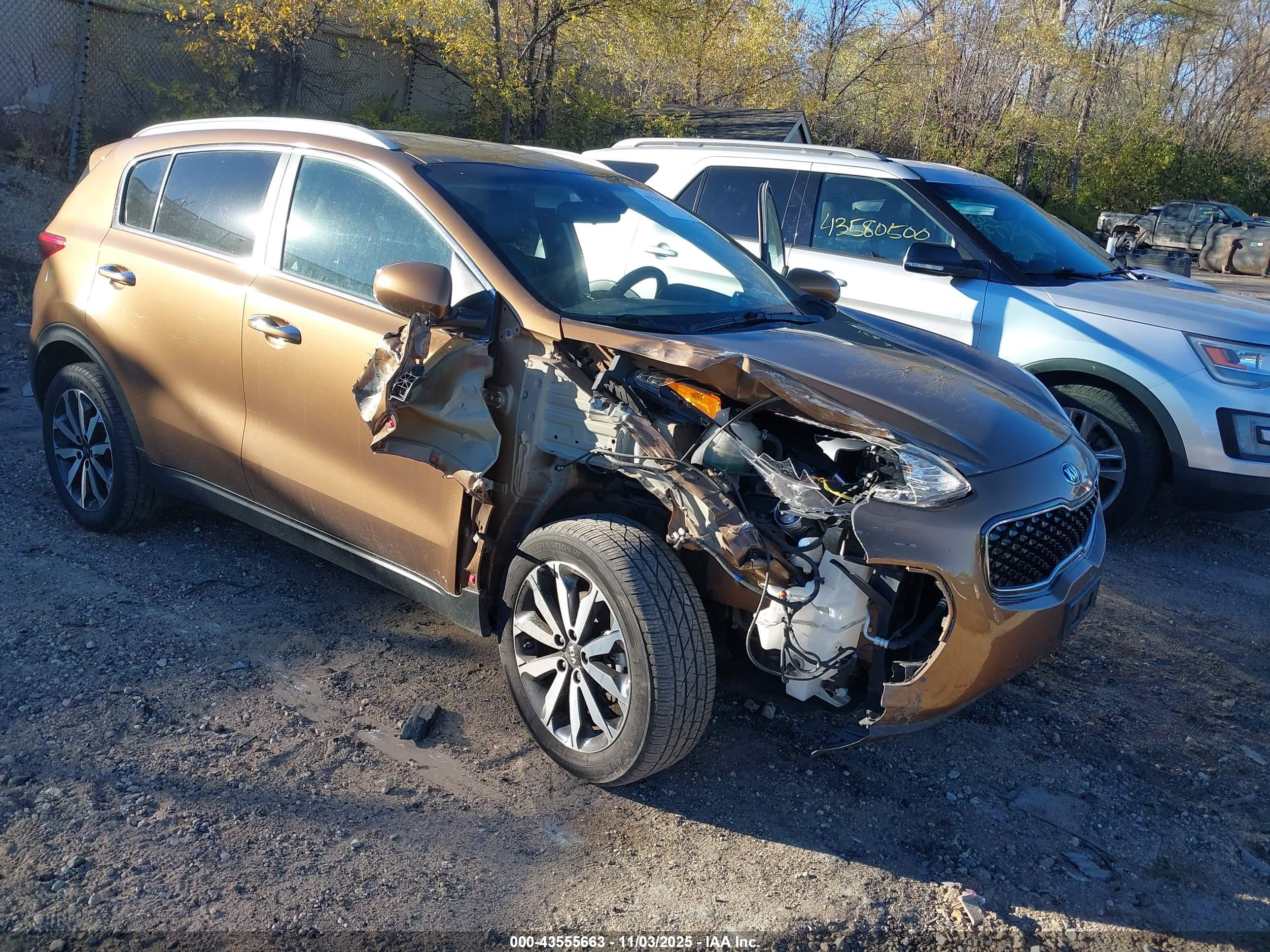KIA SPORTAGE image 6