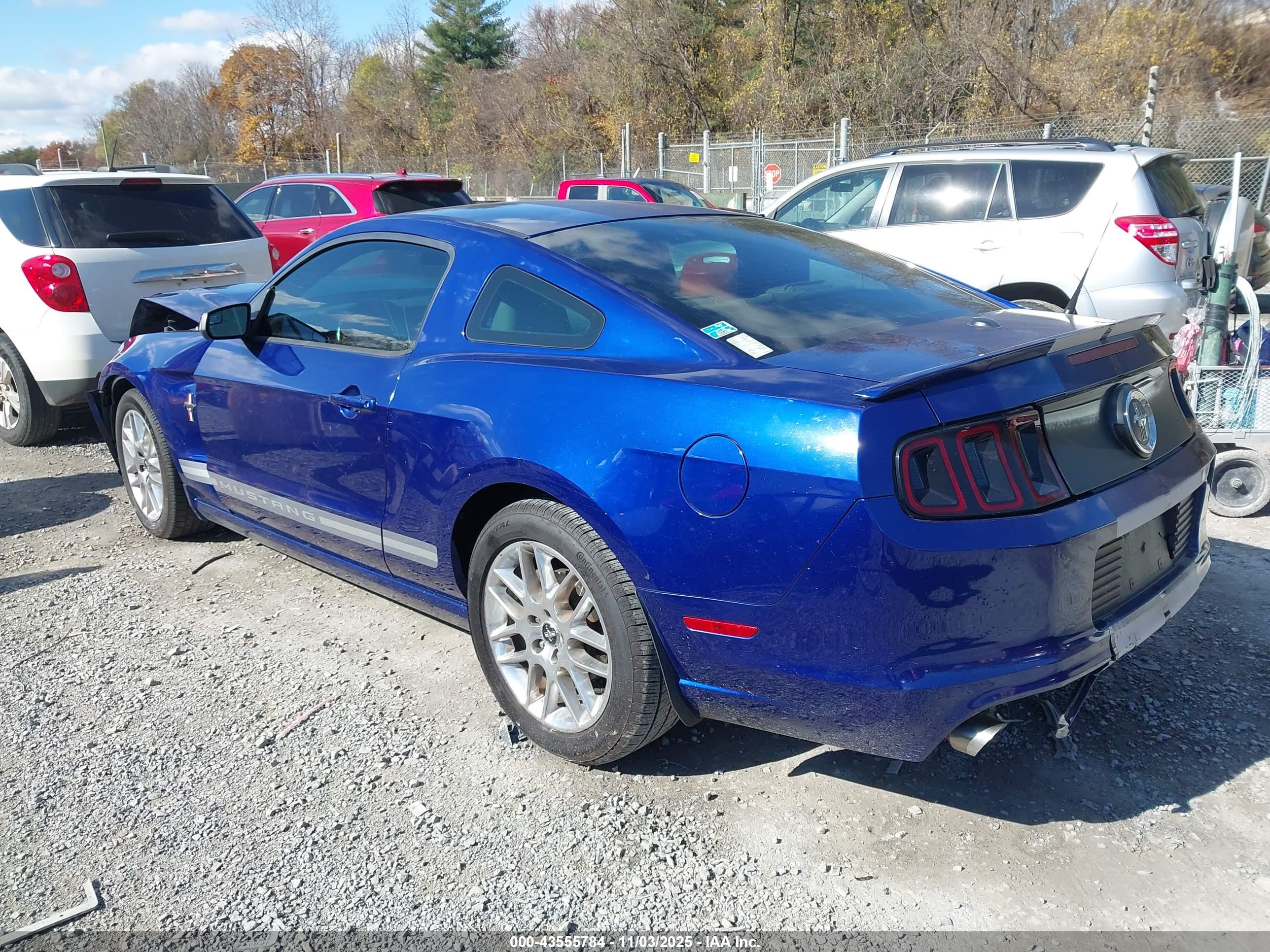 FORD MUSTANG image 3