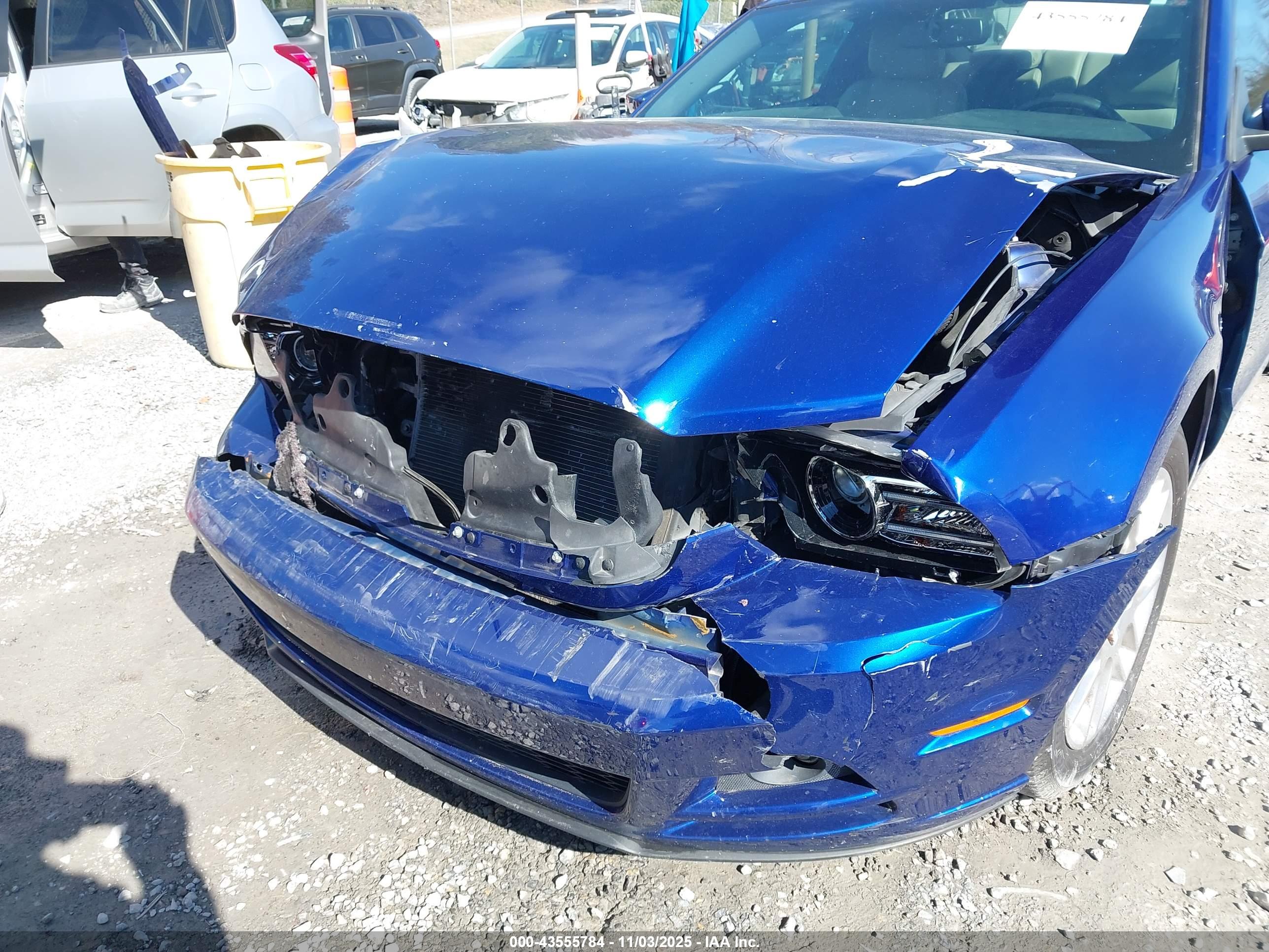 FORD MUSTANG image 6
