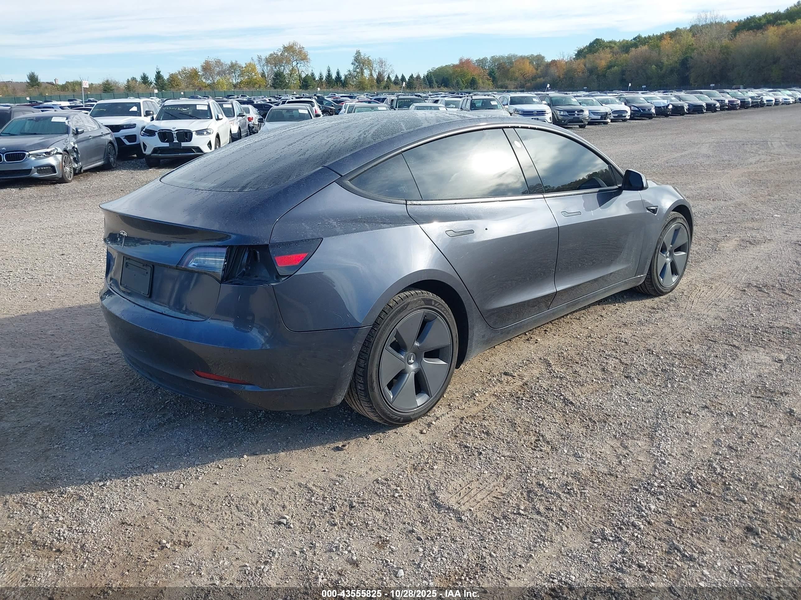TESLA MODEL image 4