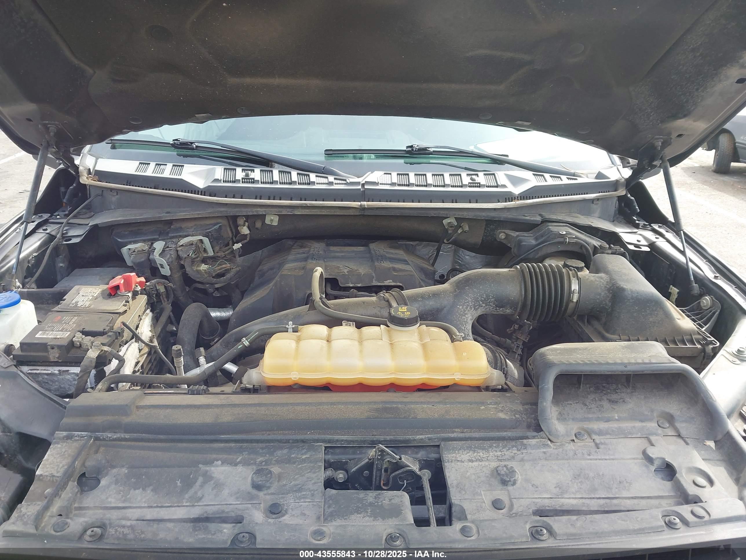 FORD F-150 image 10