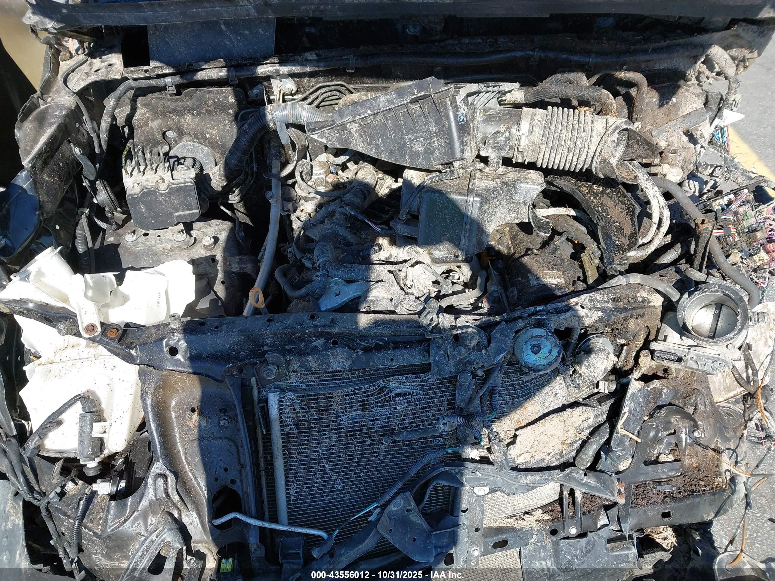 TOYOTA TACOMA image 10