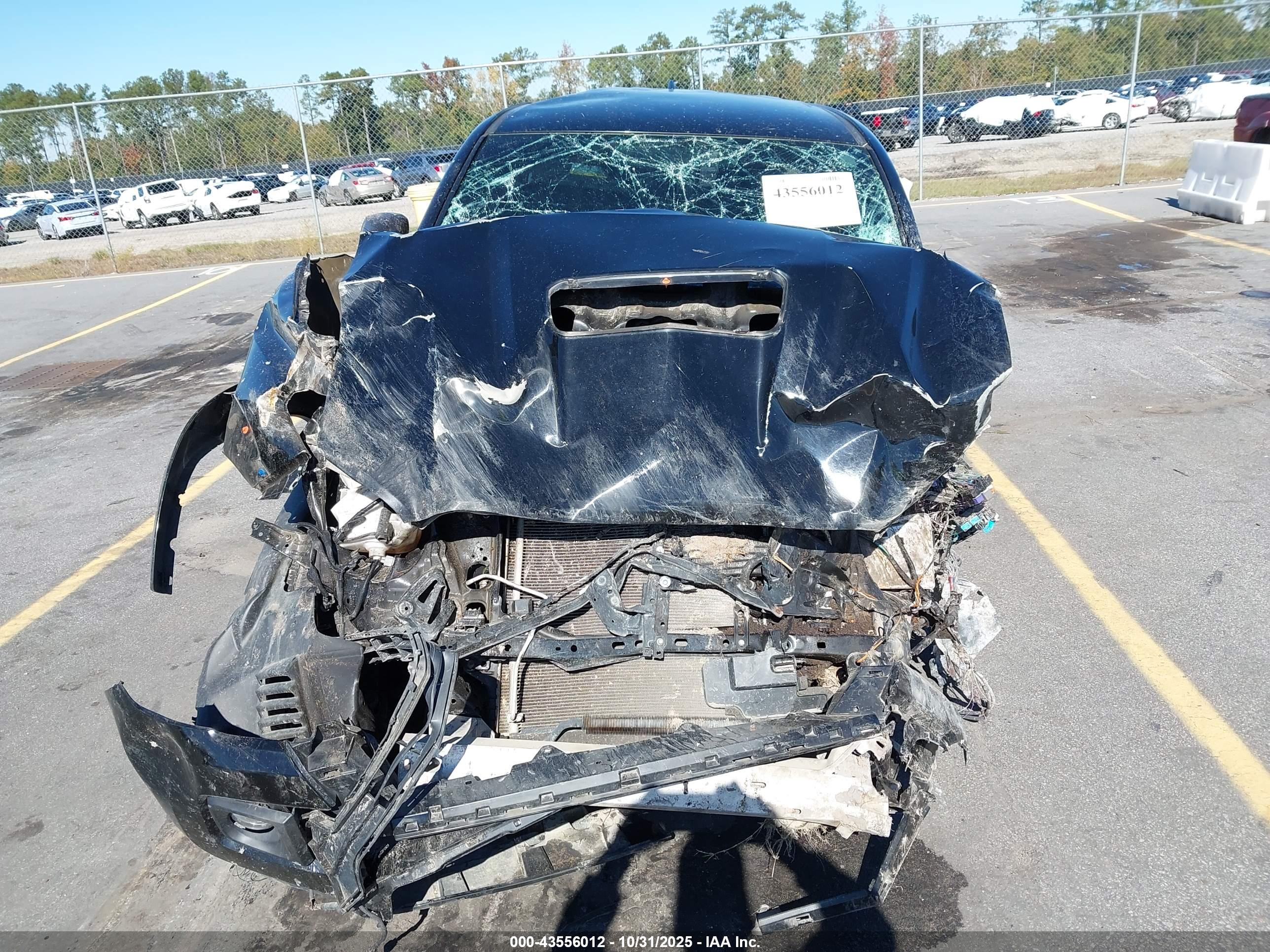 TOYOTA TACOMA image 6