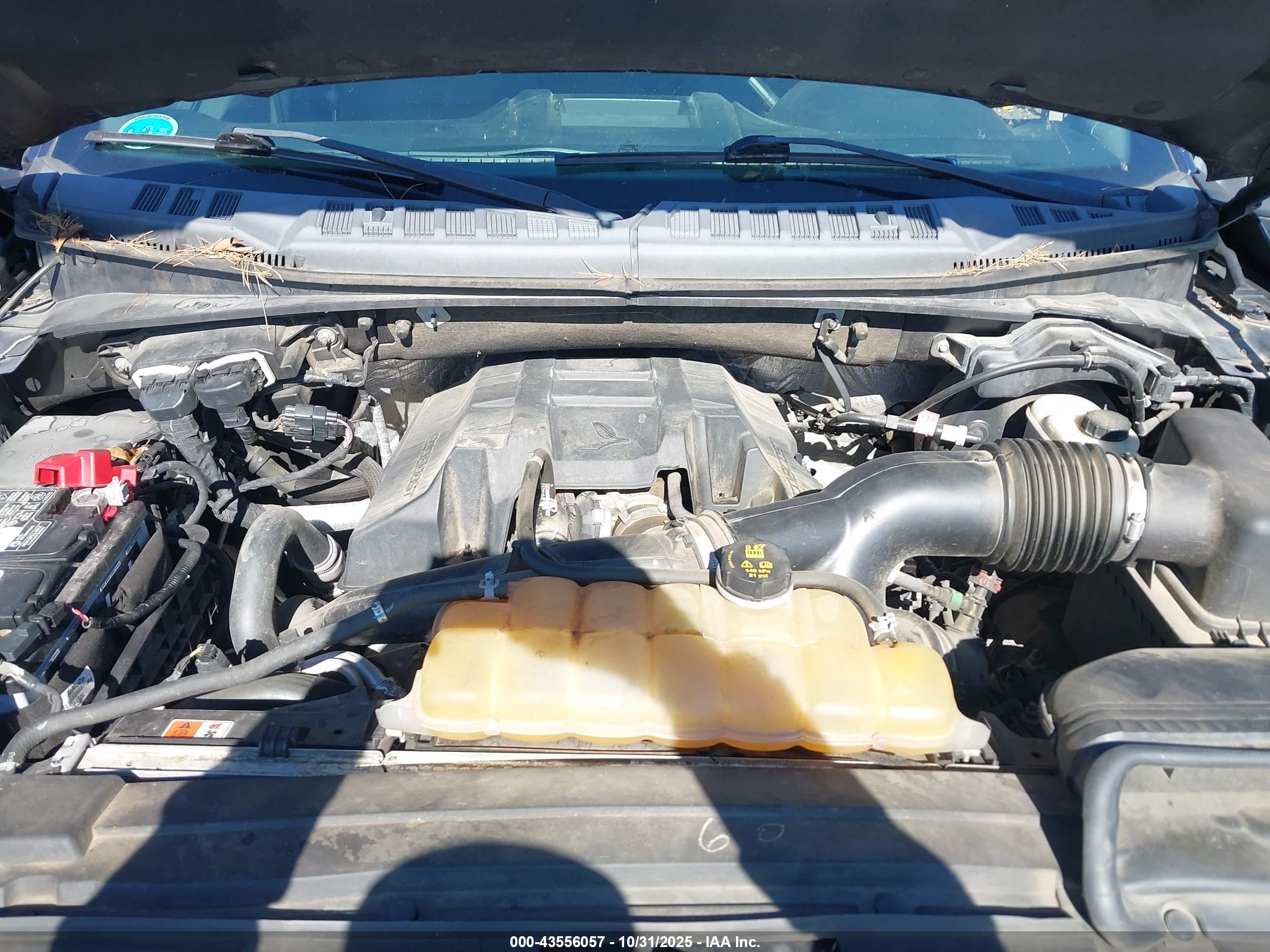 FORD F-150 image 10