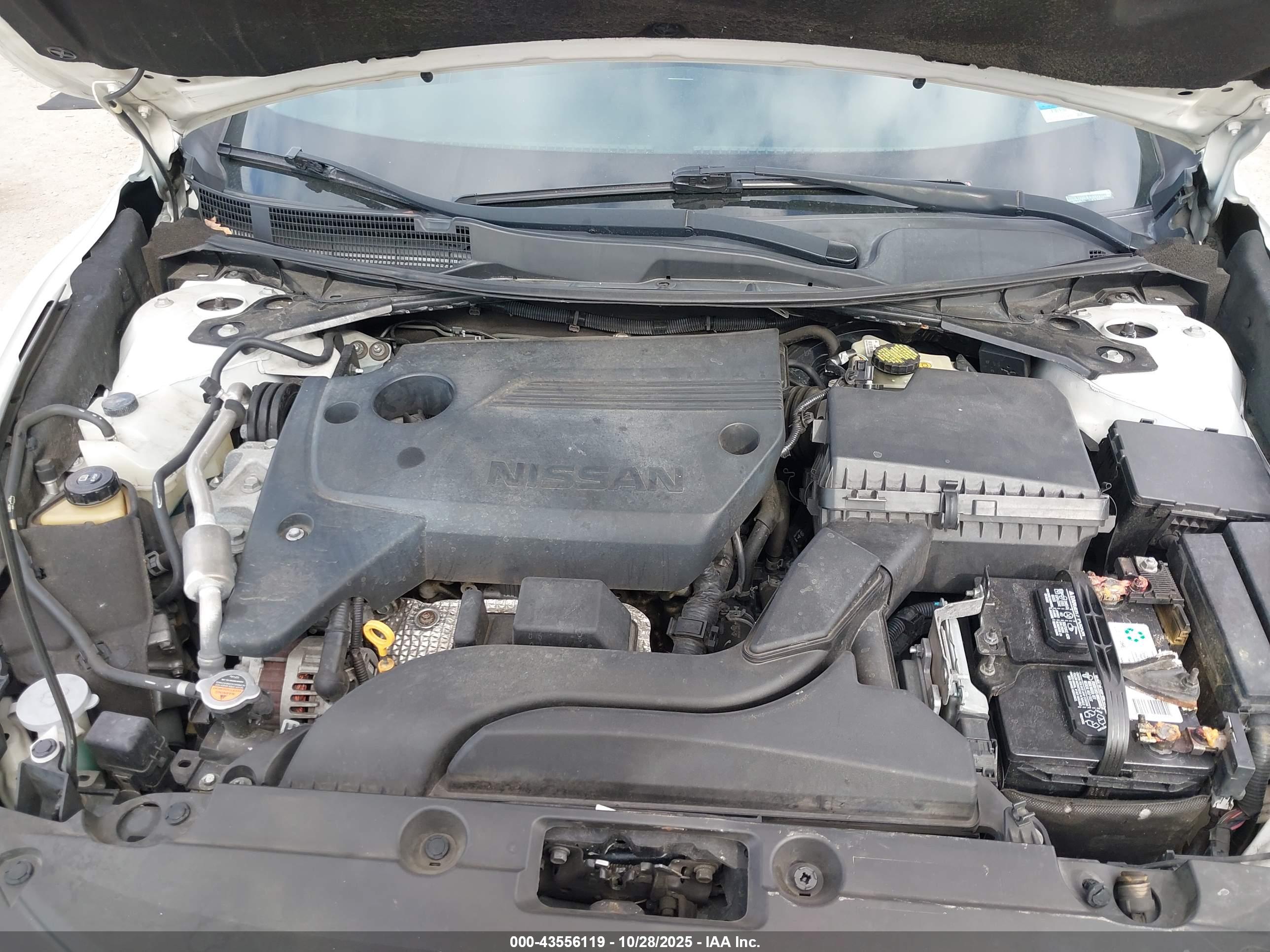 NISSAN ALTIMA image 10