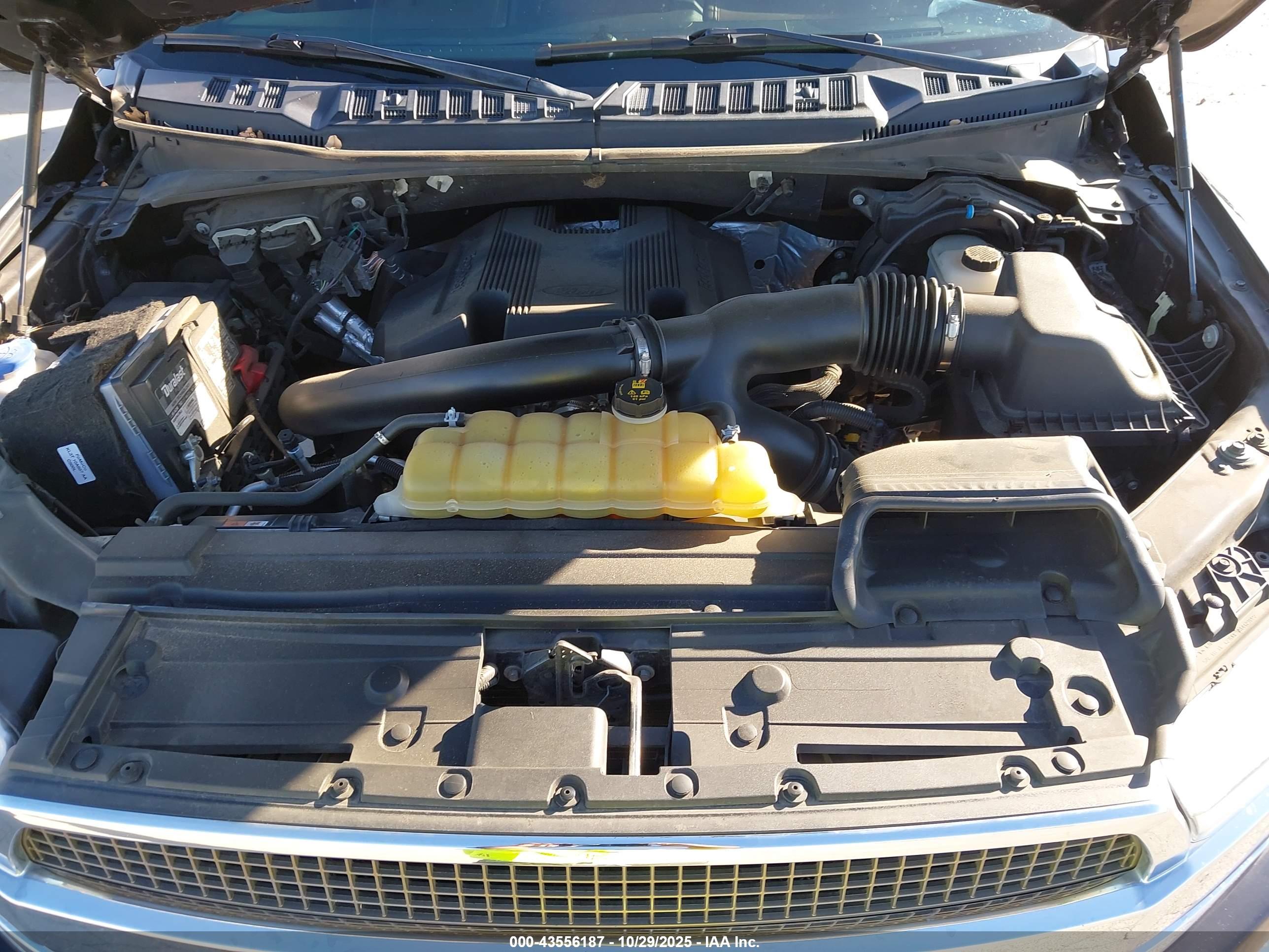 FORD F-150 image 10