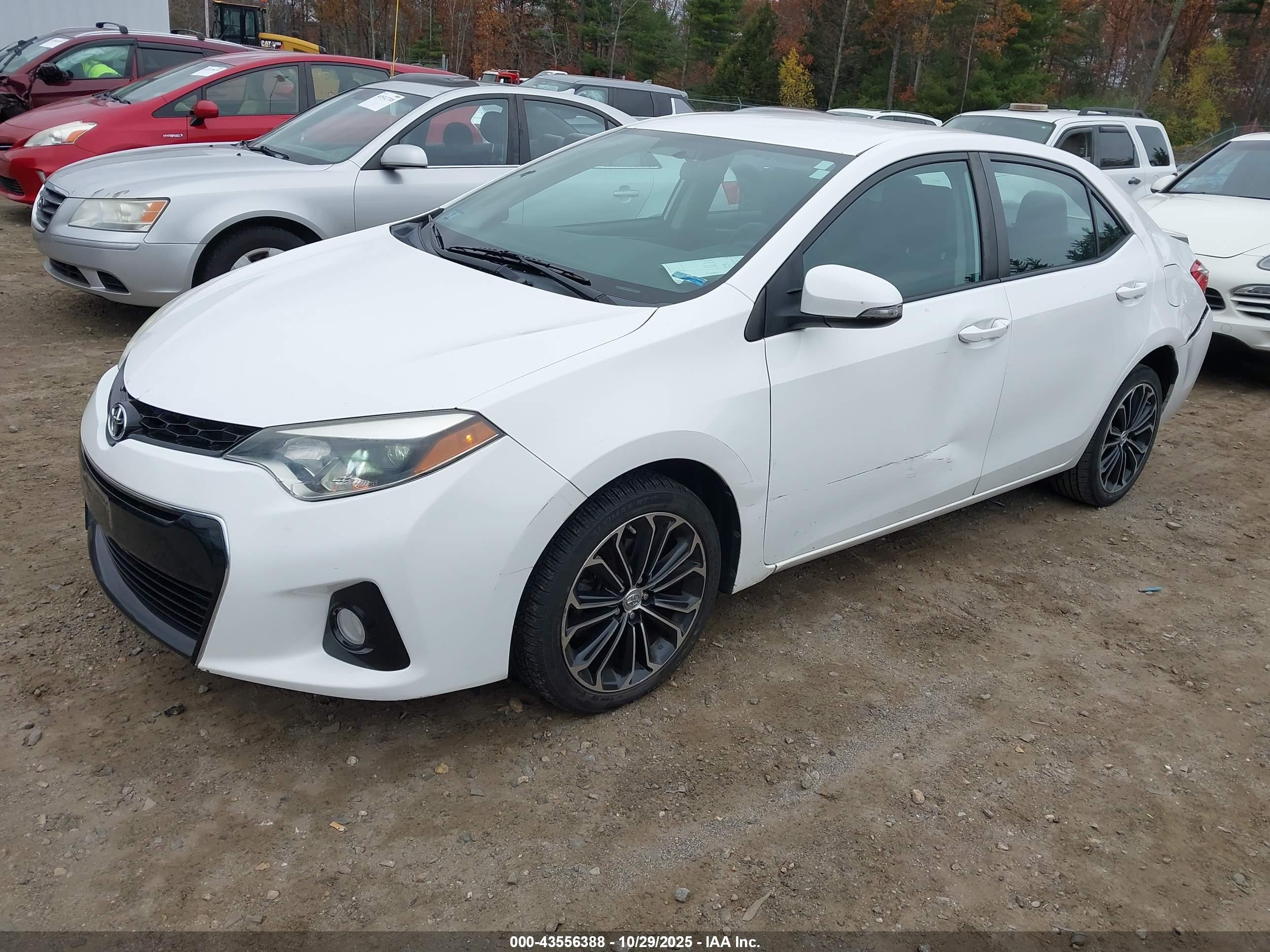 TOYOTA COROLLA image 2
