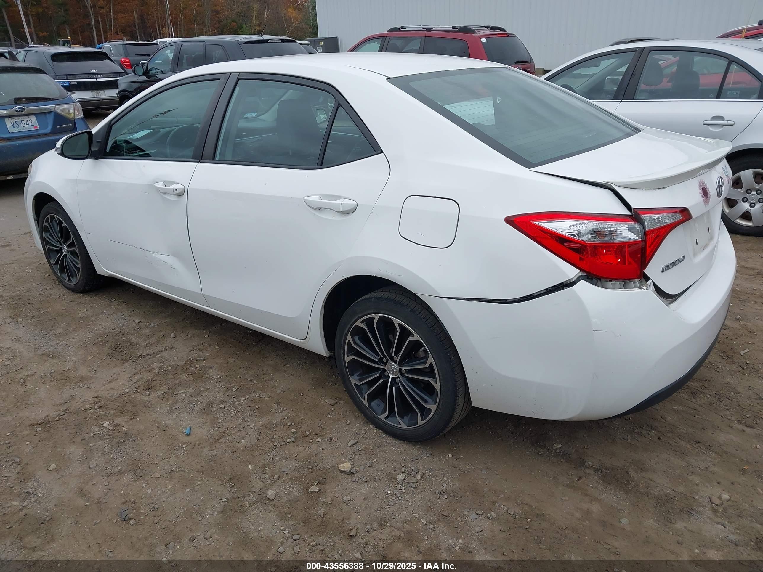 TOYOTA COROLLA image 3