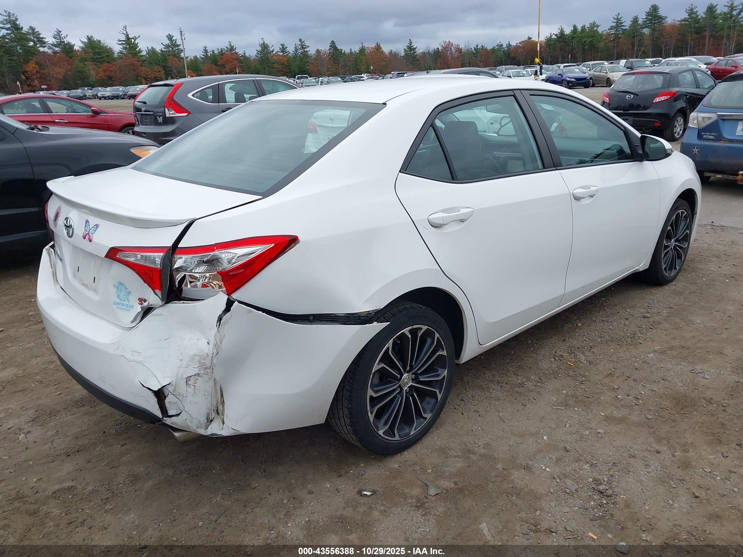TOYOTA COROLLA image 4