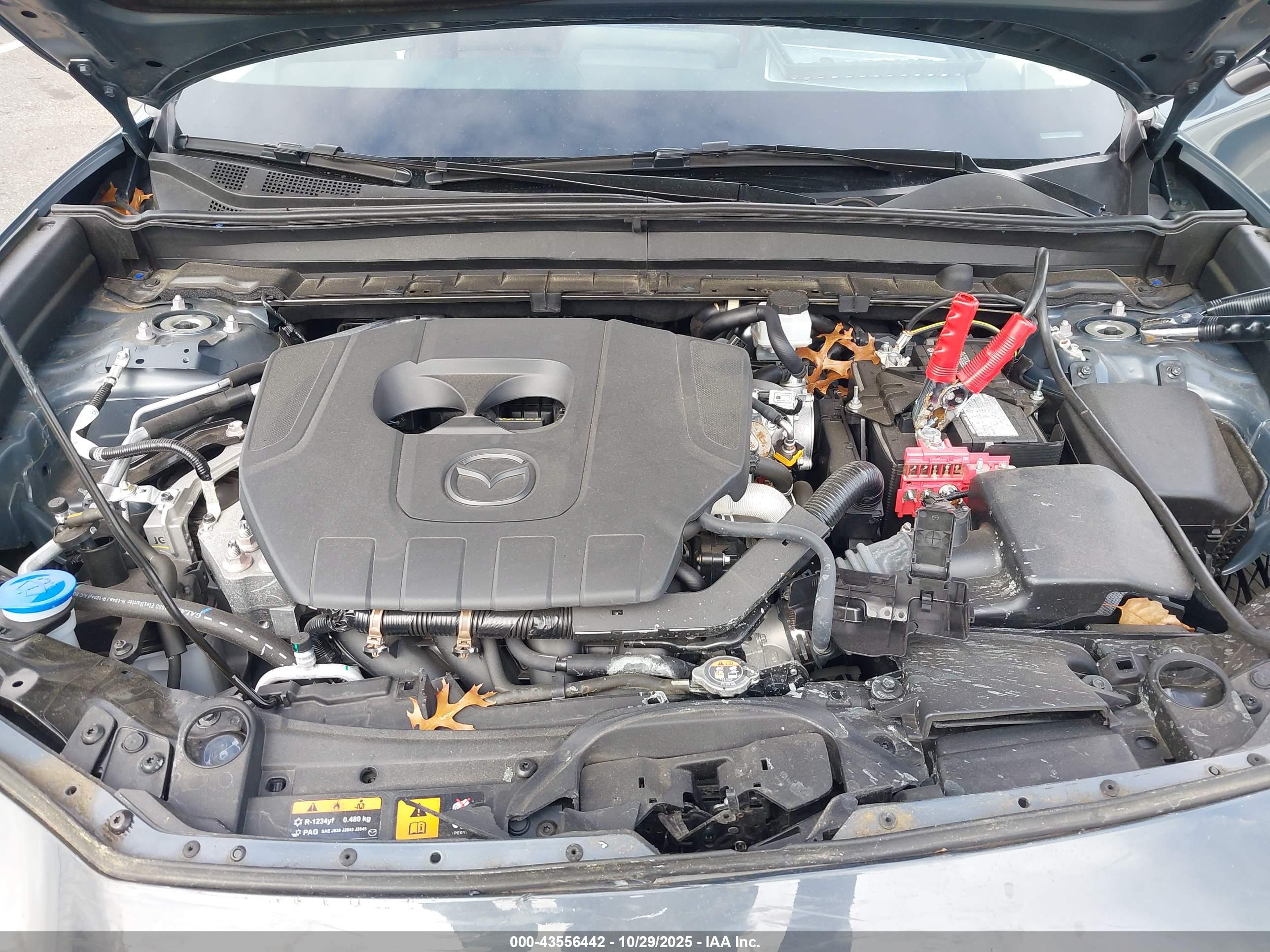 MAZDA CX-30 image 10