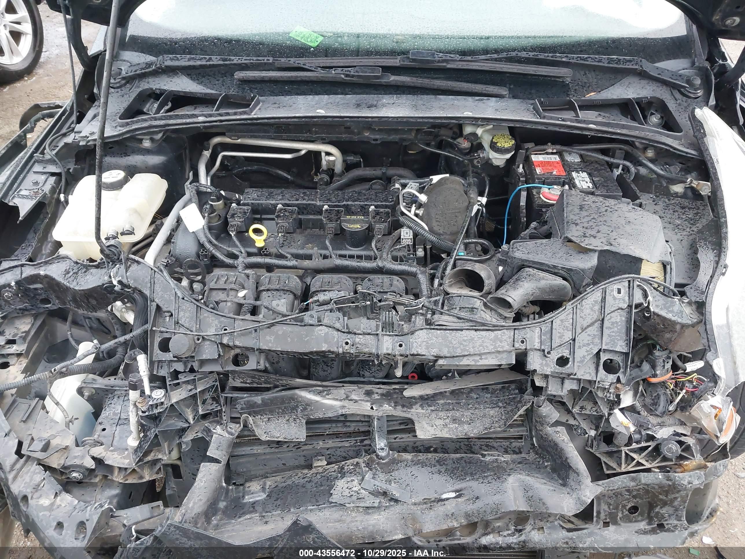 FORD FOCUS image 10