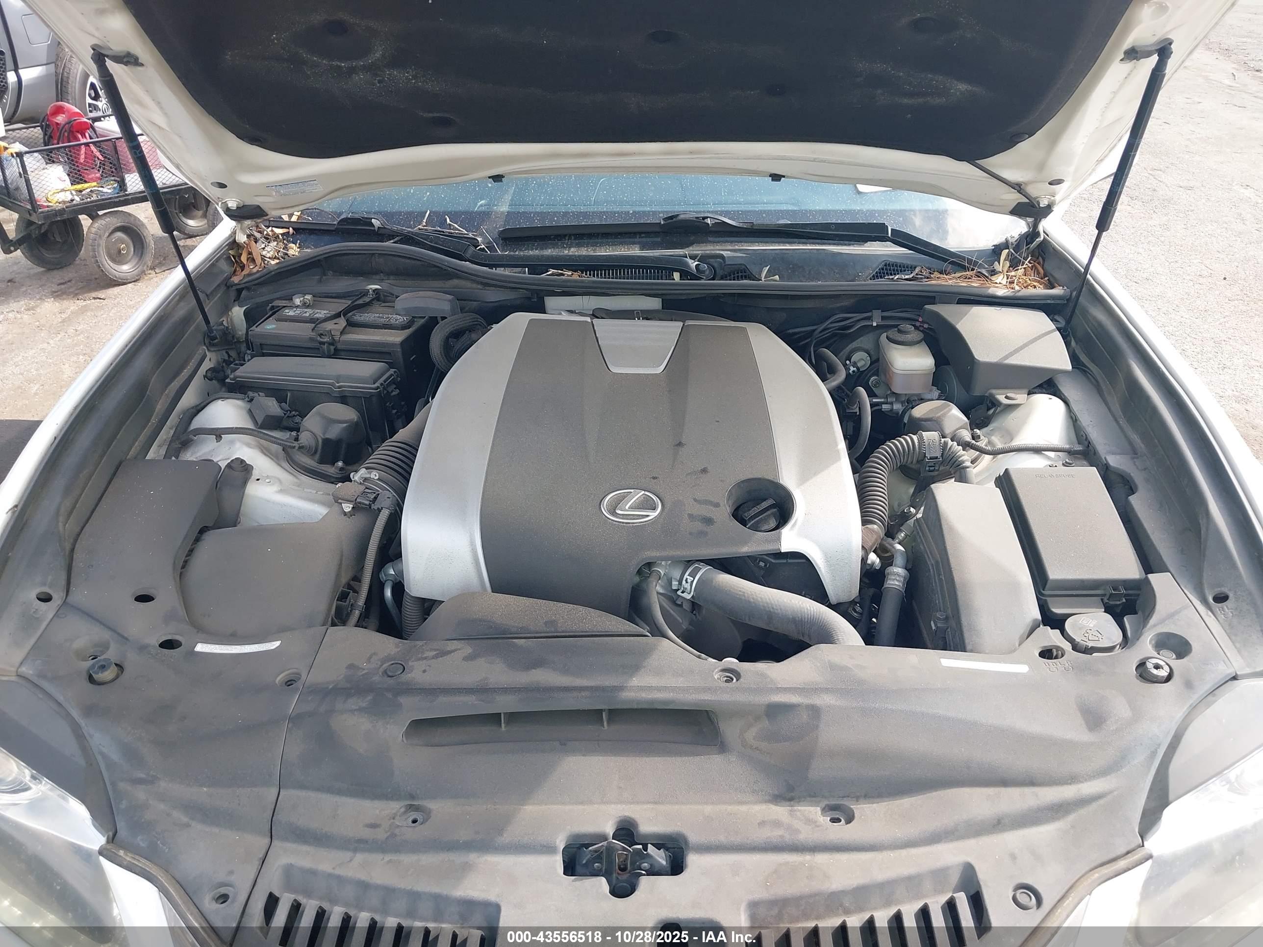 LEXUS GS image 10