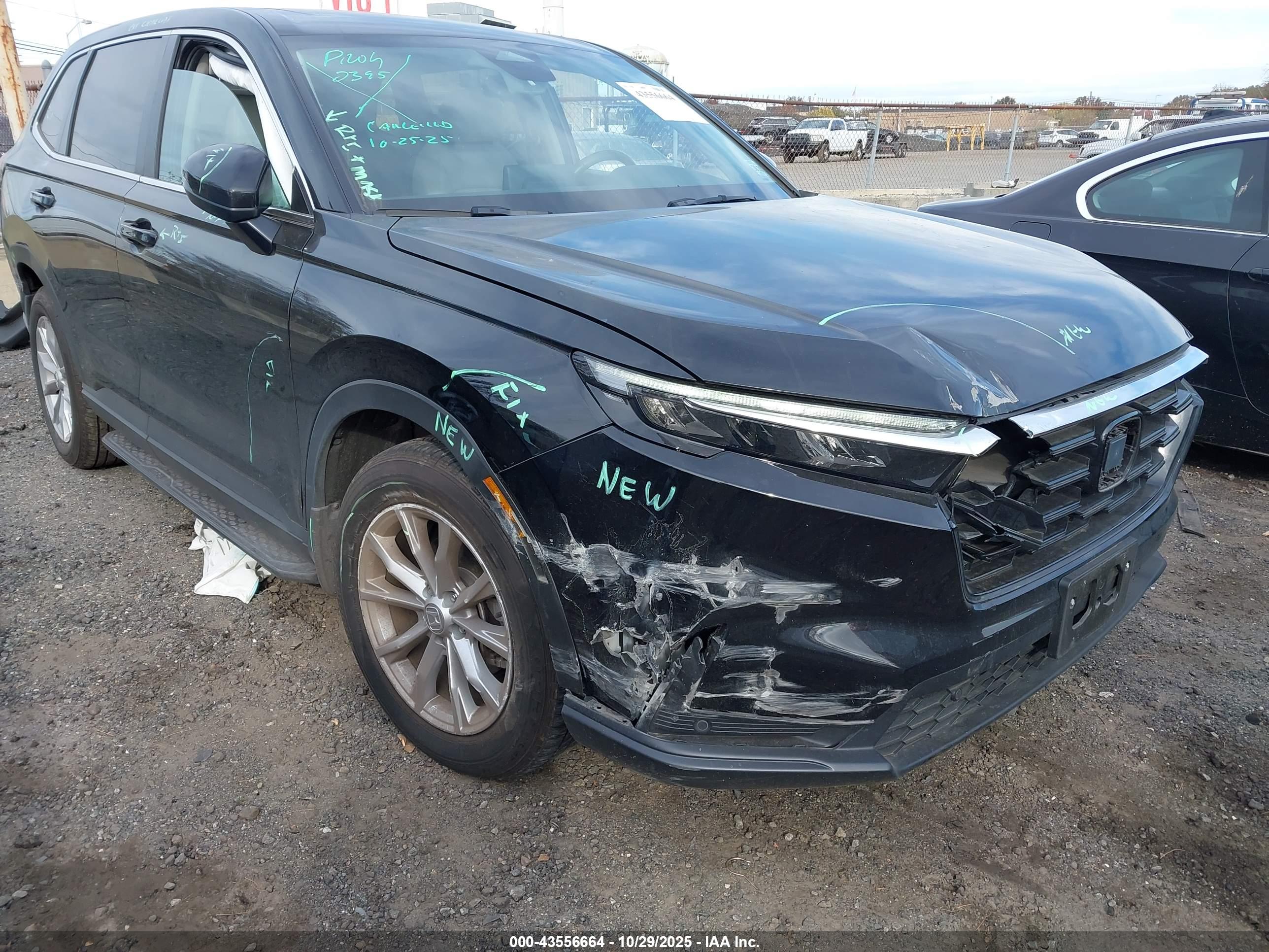 HONDA CR-V image 6