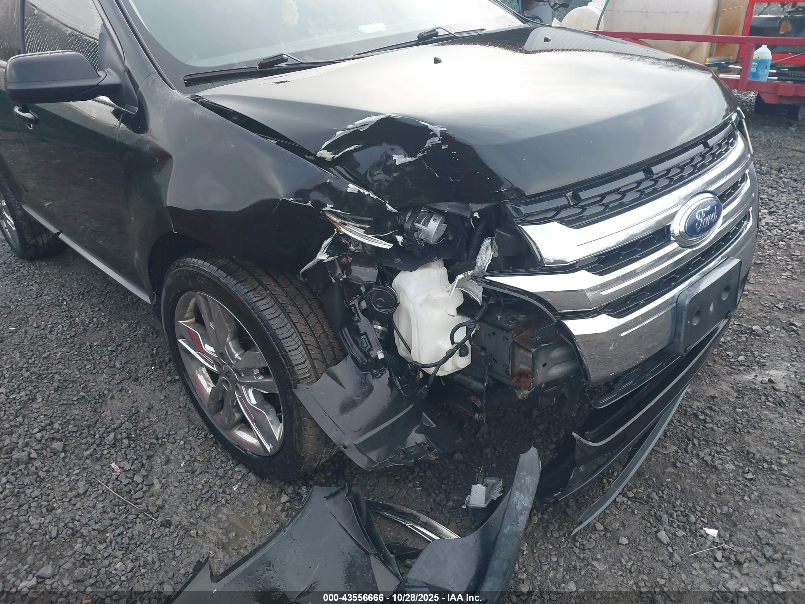 FORD EDGE image 6