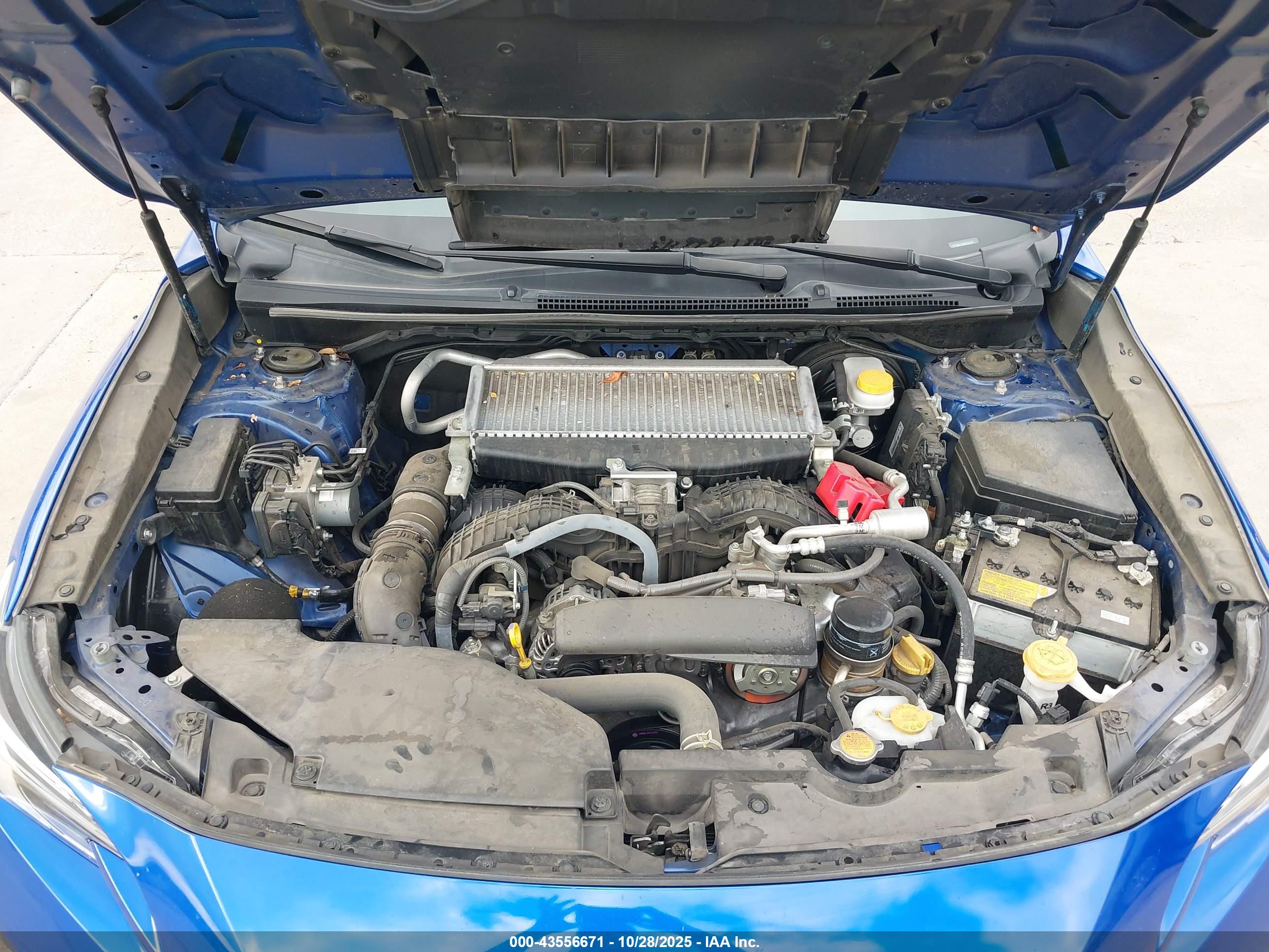 SUBARU WRX image 10