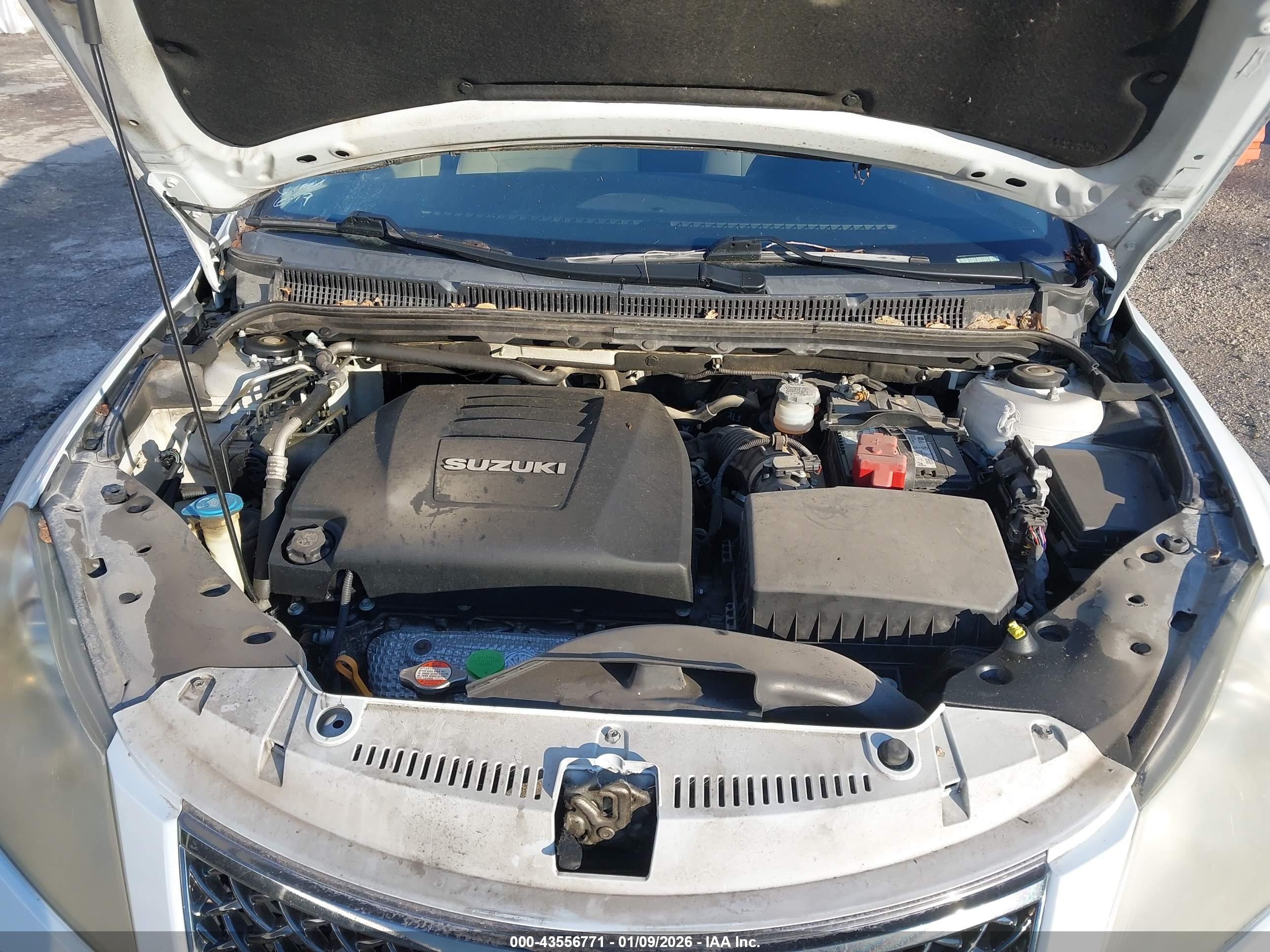 SUZUKI KIZASHI image 10