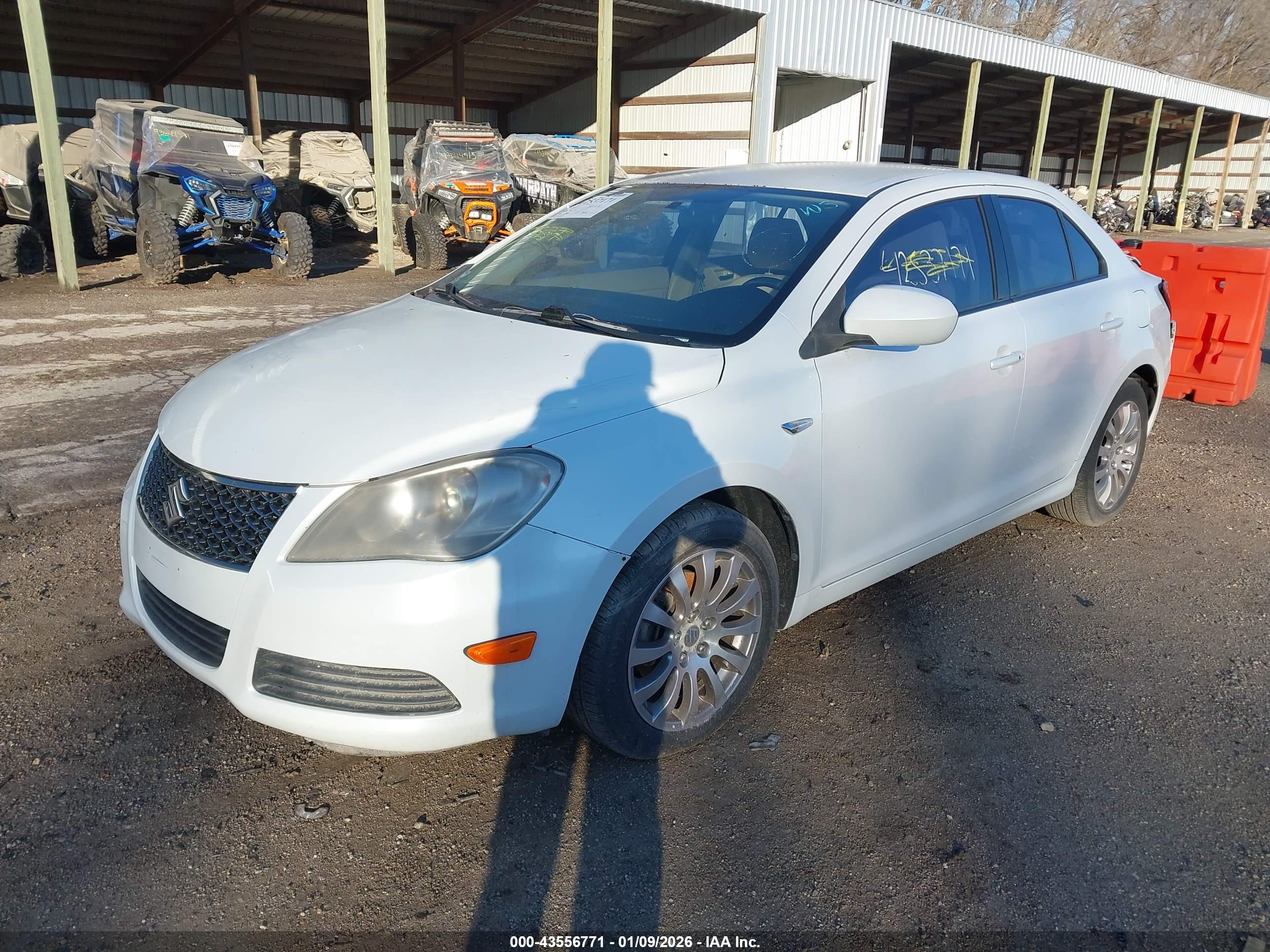 SUZUKI KIZASHI image 2