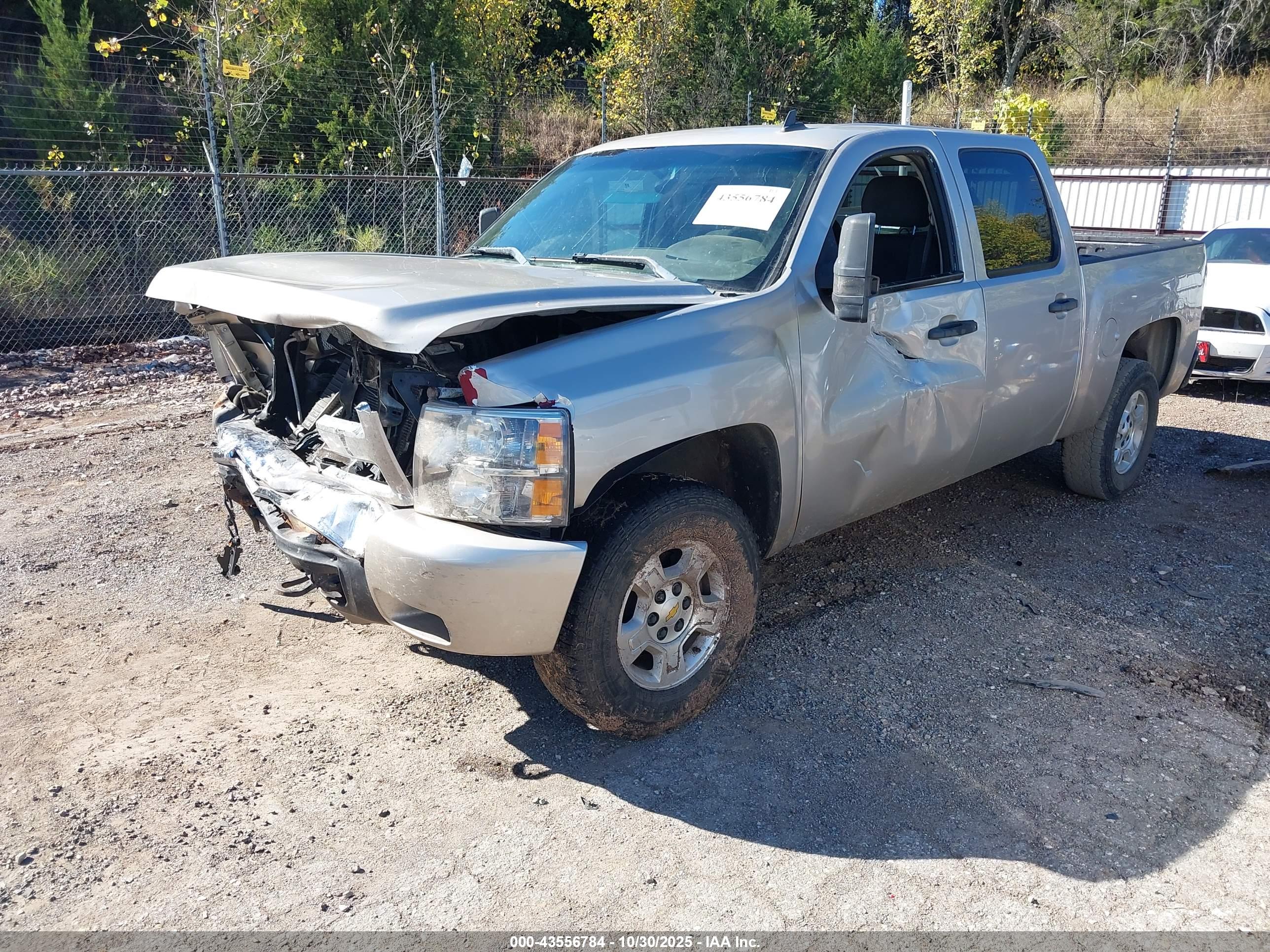 CHEVROLET SILVERADO image 2