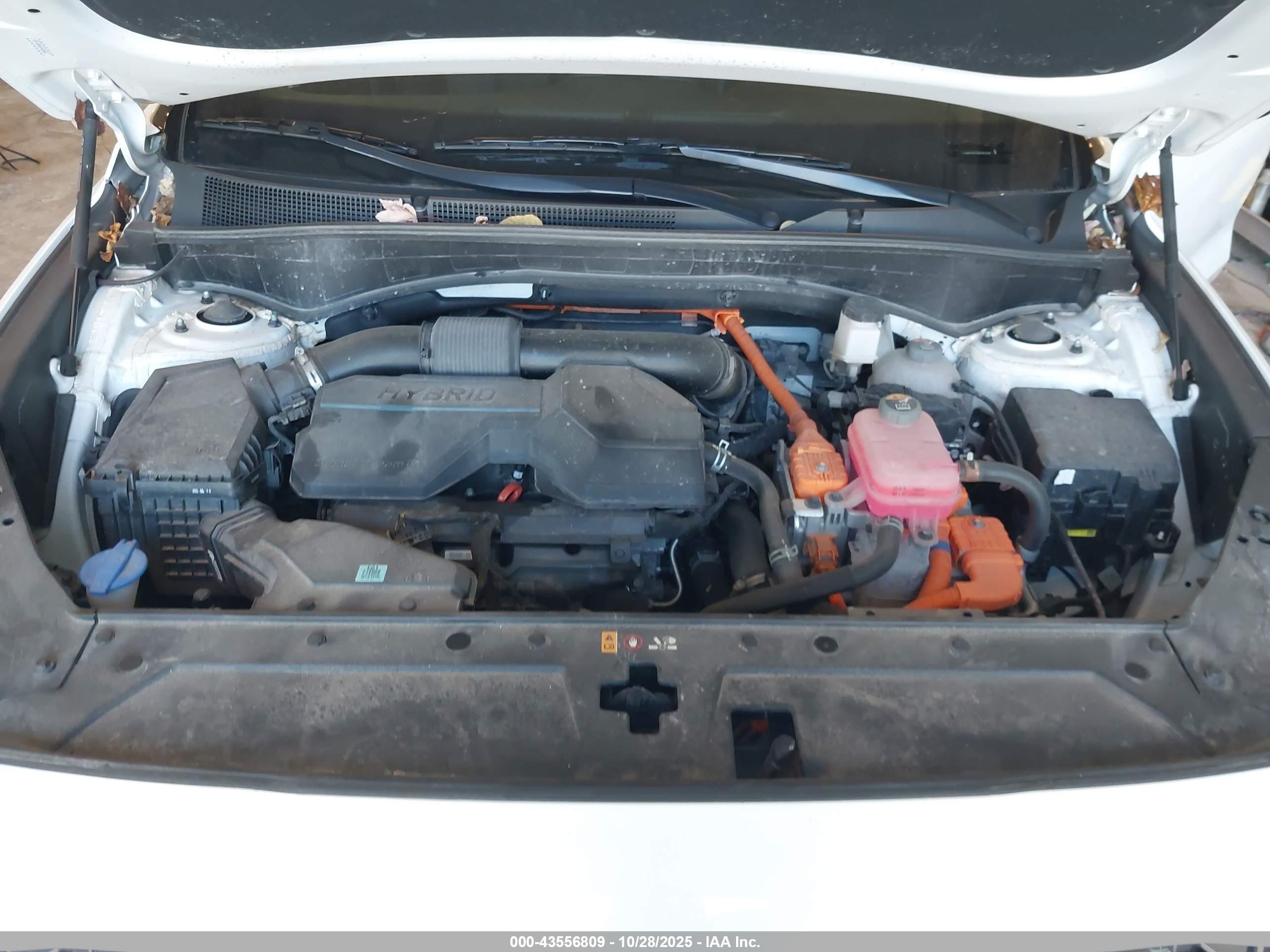 HYUNDAI SANTA image 10