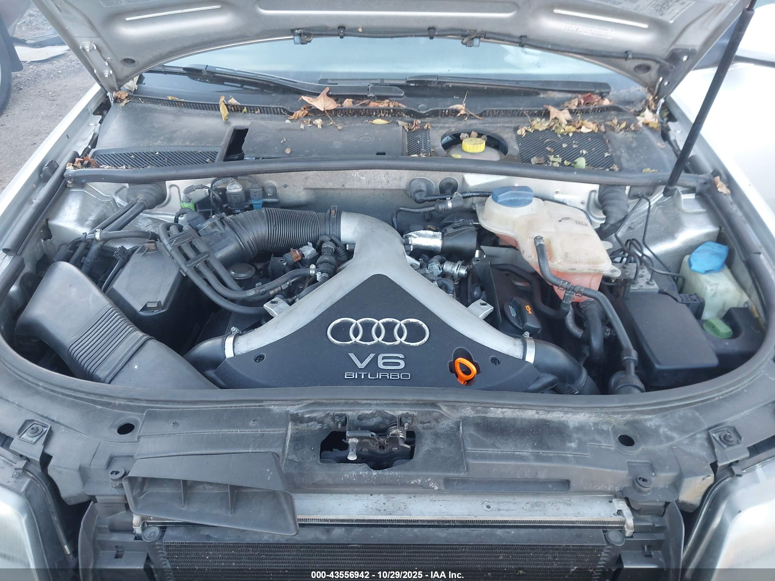 AUDI ALLROAD image 10