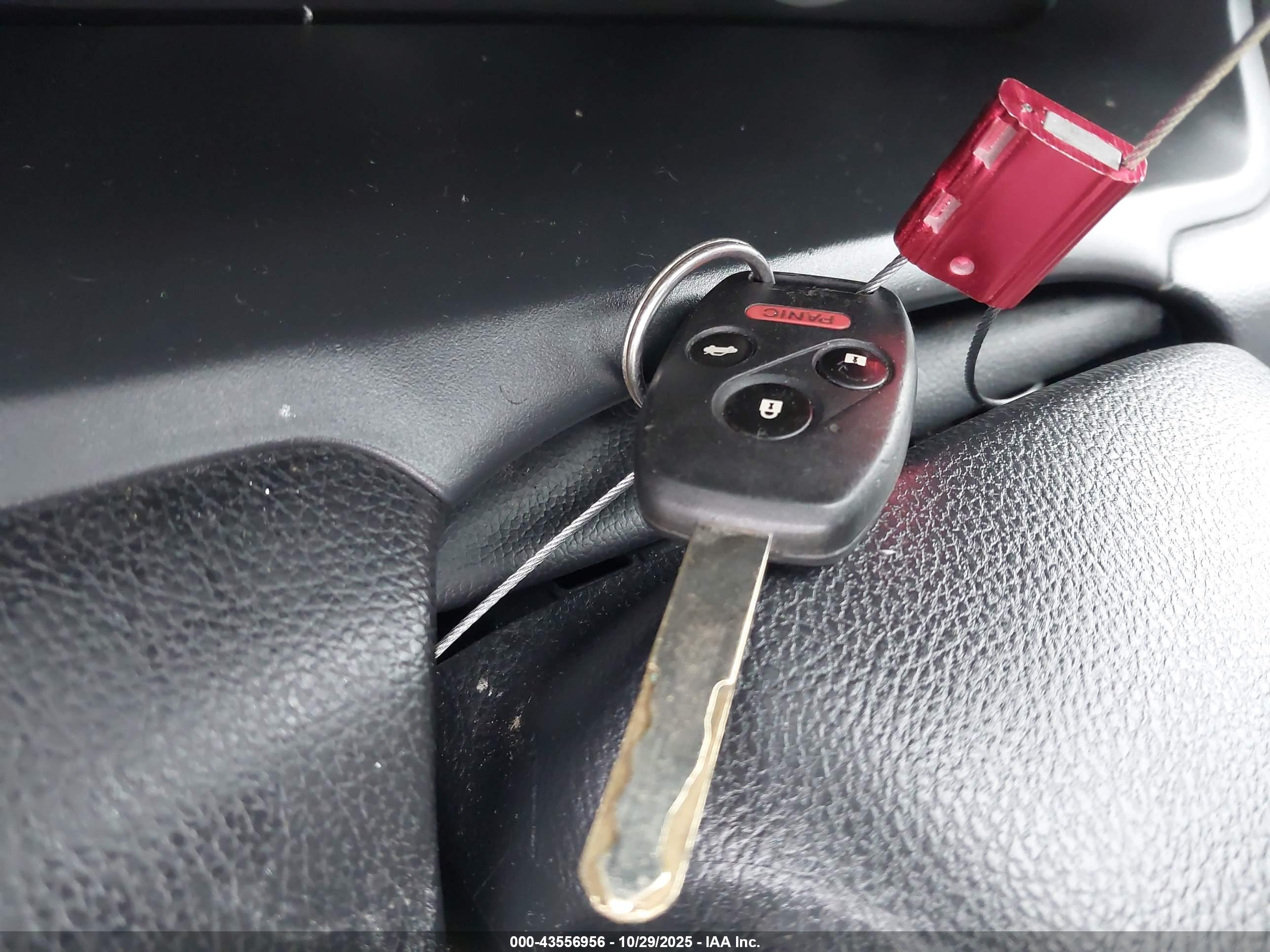 HONDA ACCORD image 11