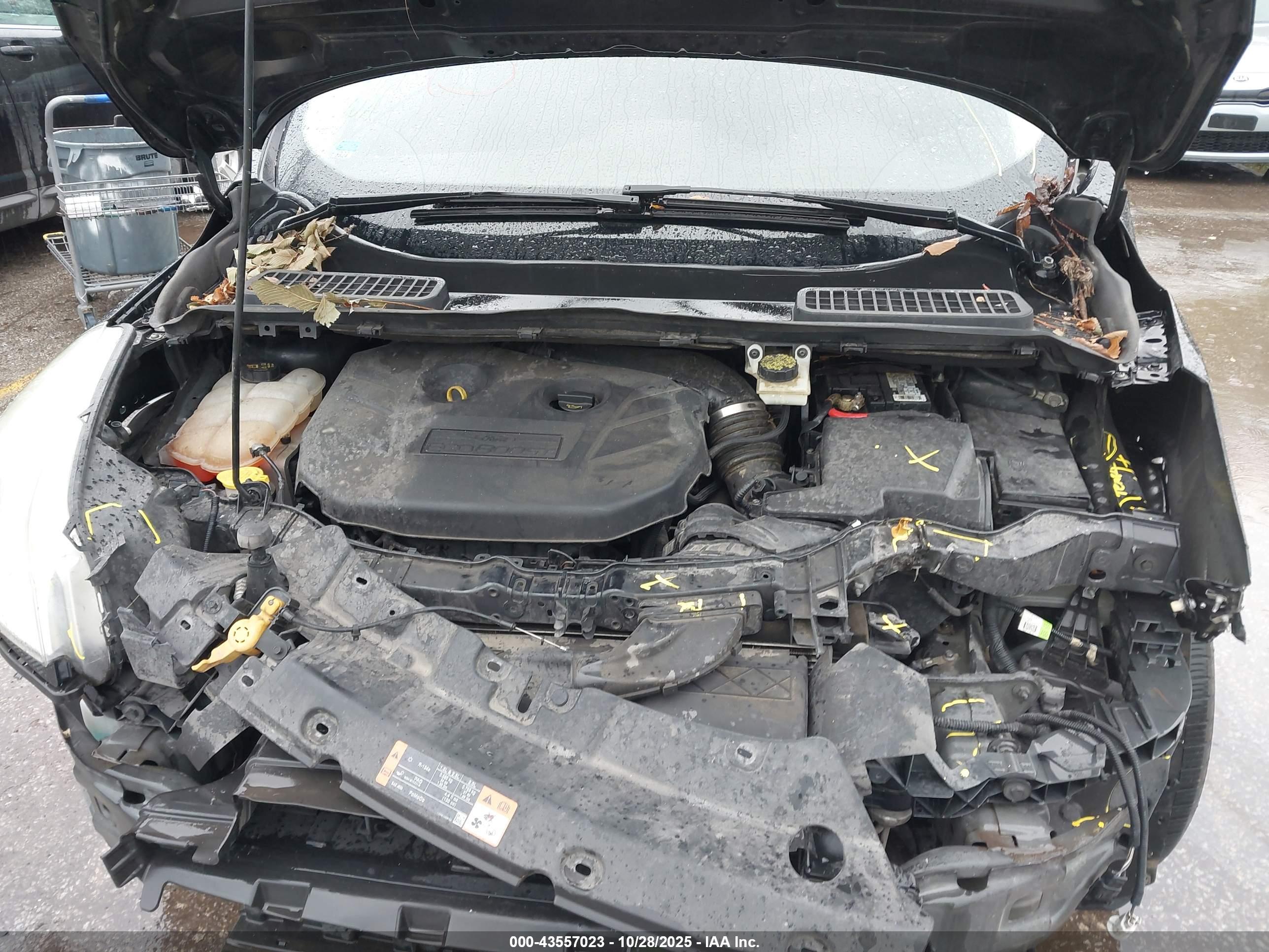 FORD ESCAPE image 10