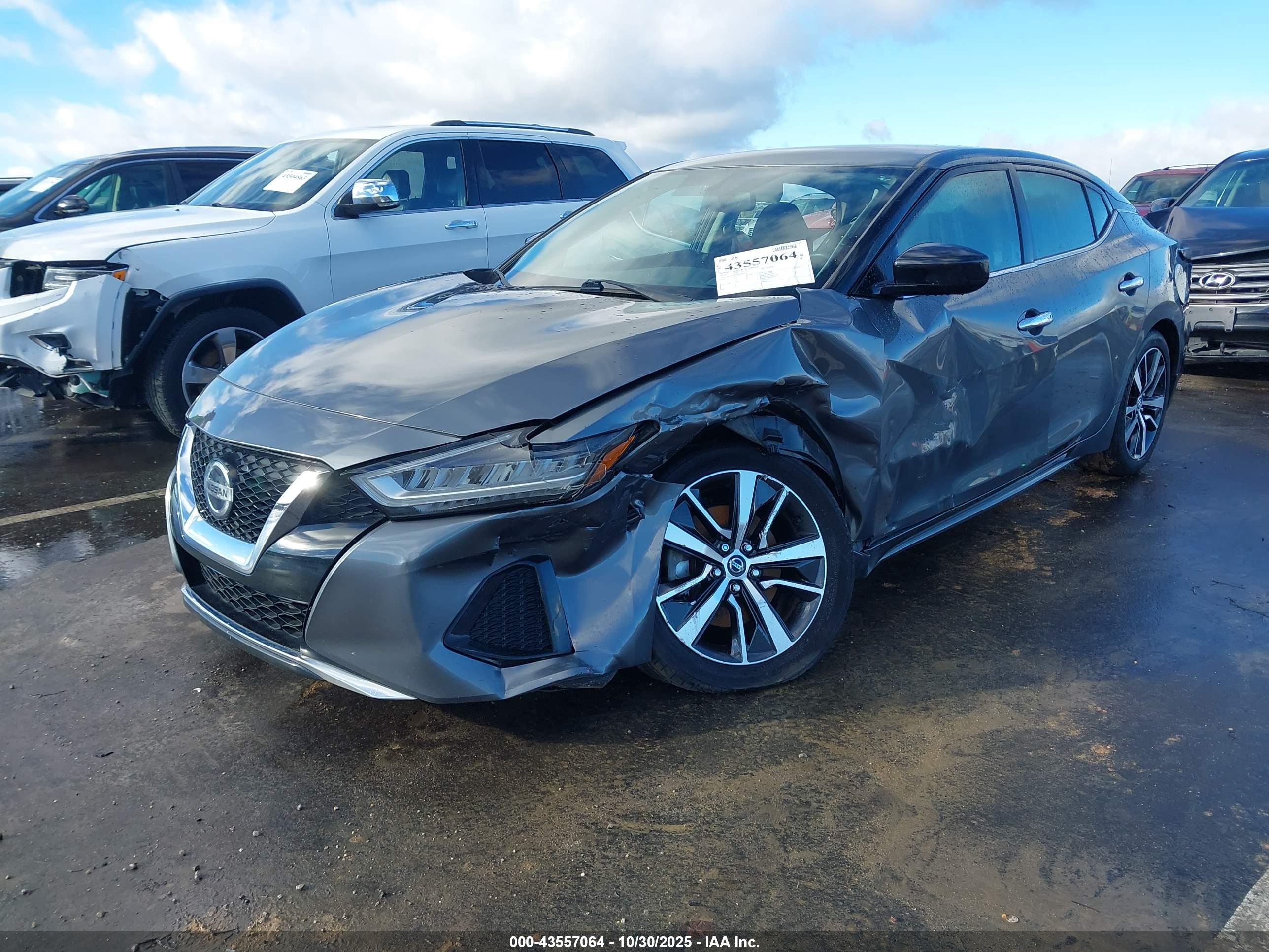 NISSAN MAXIMA image 2
