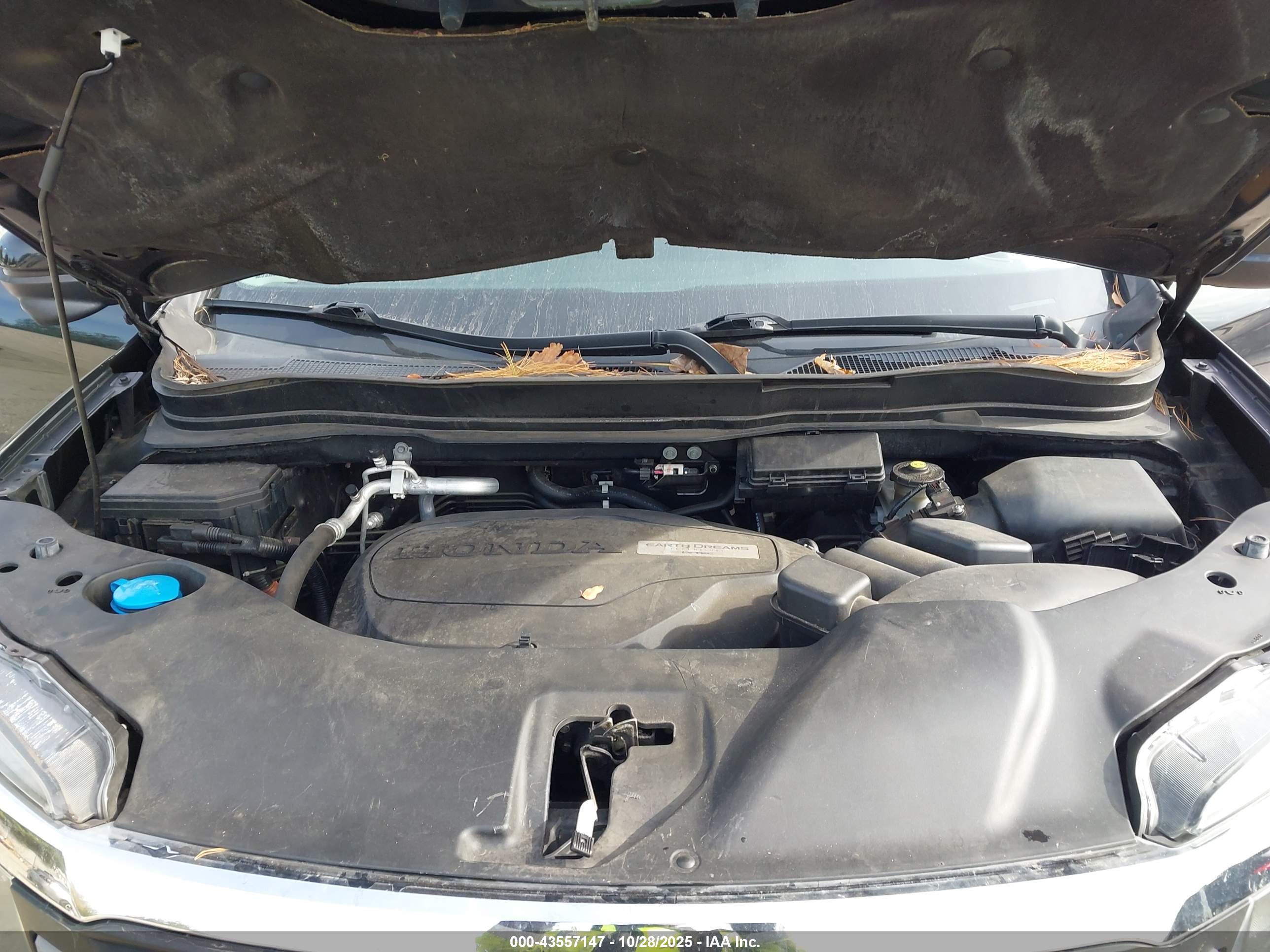 HONDA PILOT image 10