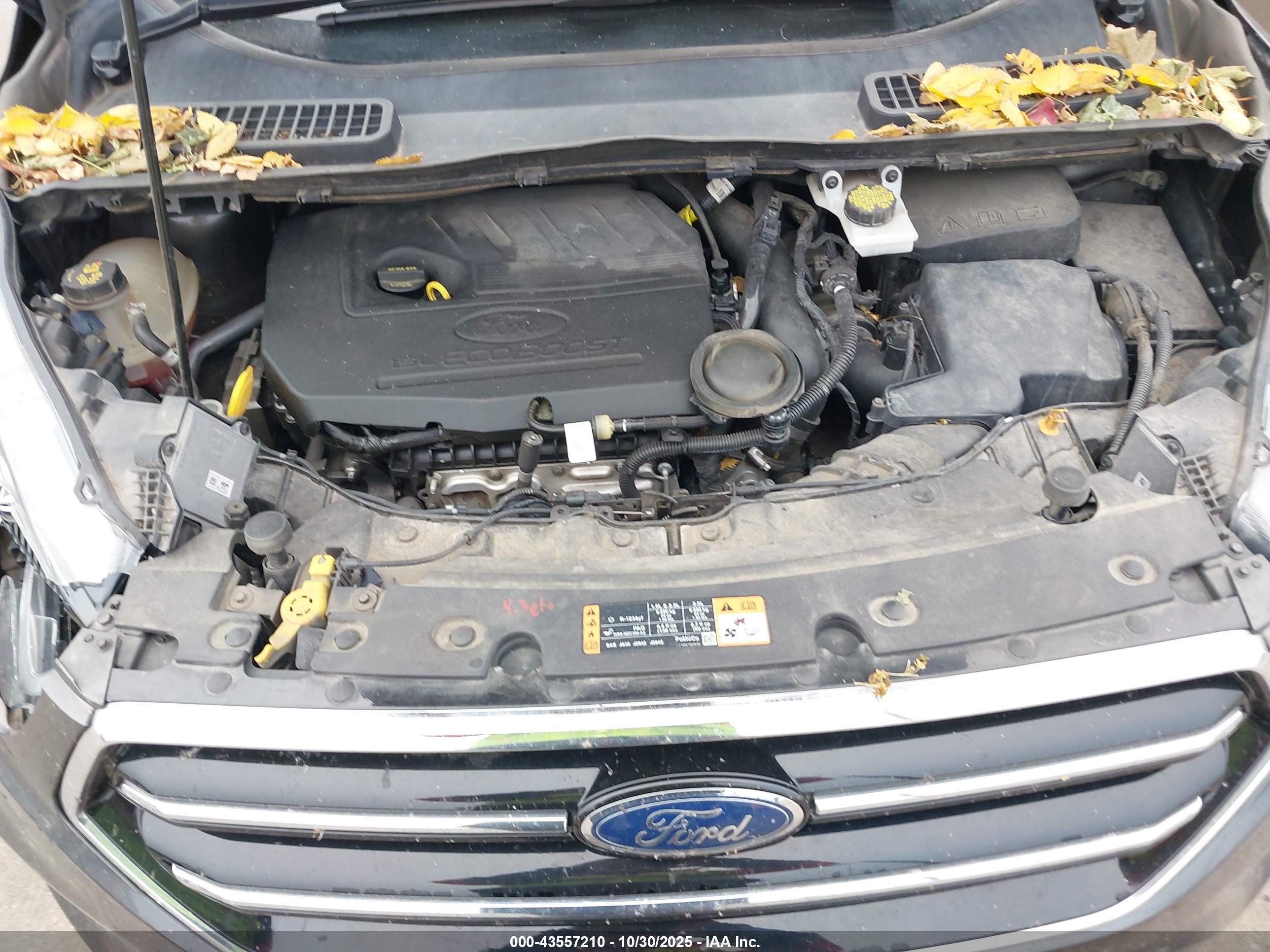 FORD ESCAPE image 10