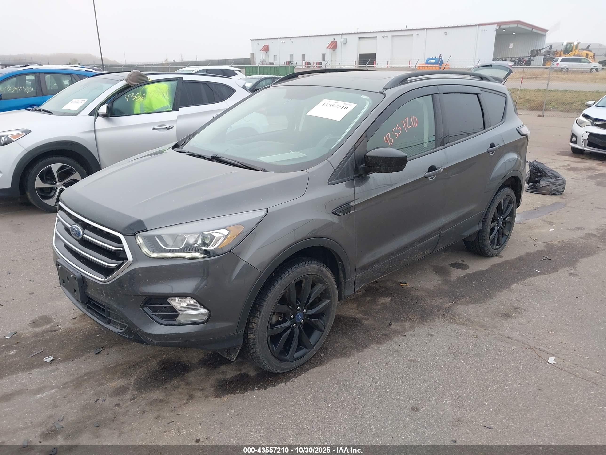 FORD ESCAPE image 2