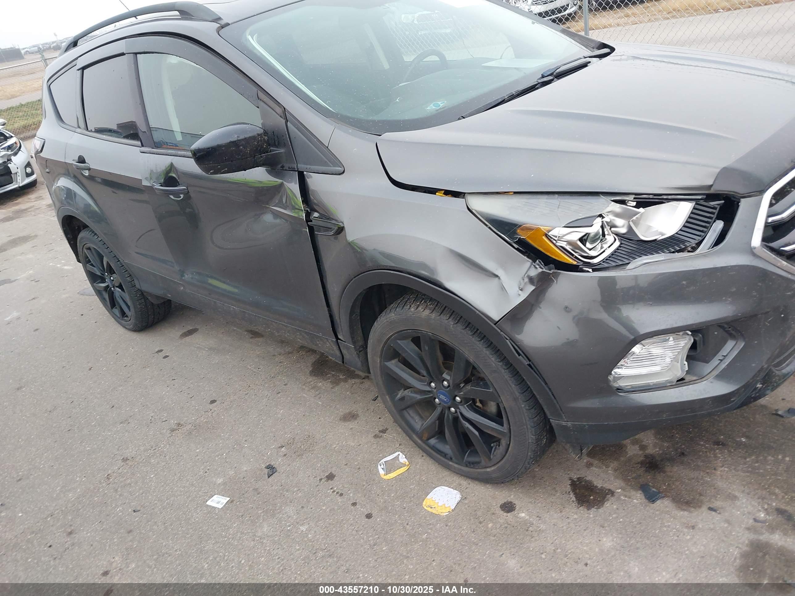 FORD ESCAPE image 6
