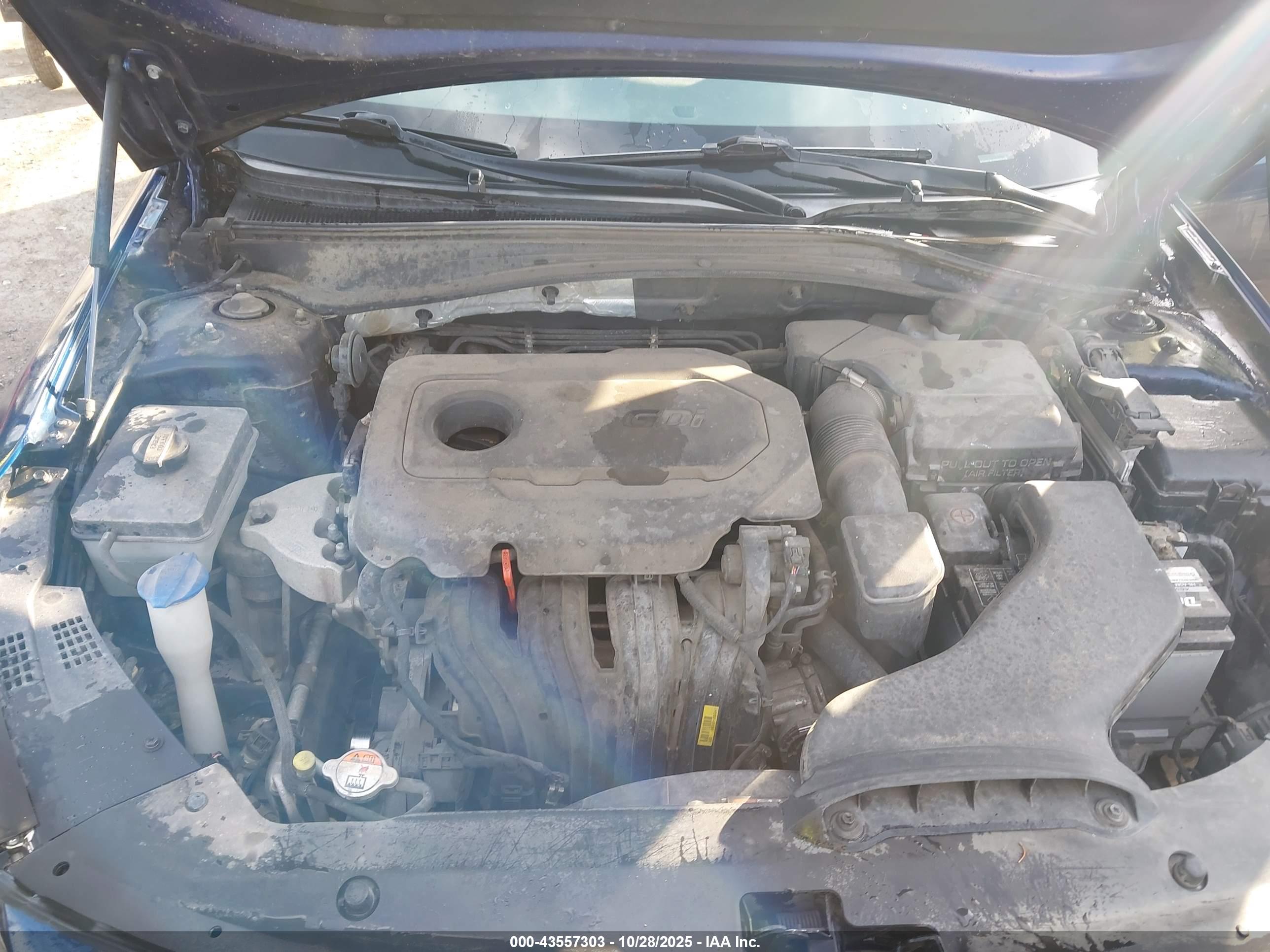 KIA OPTIMA image 10
