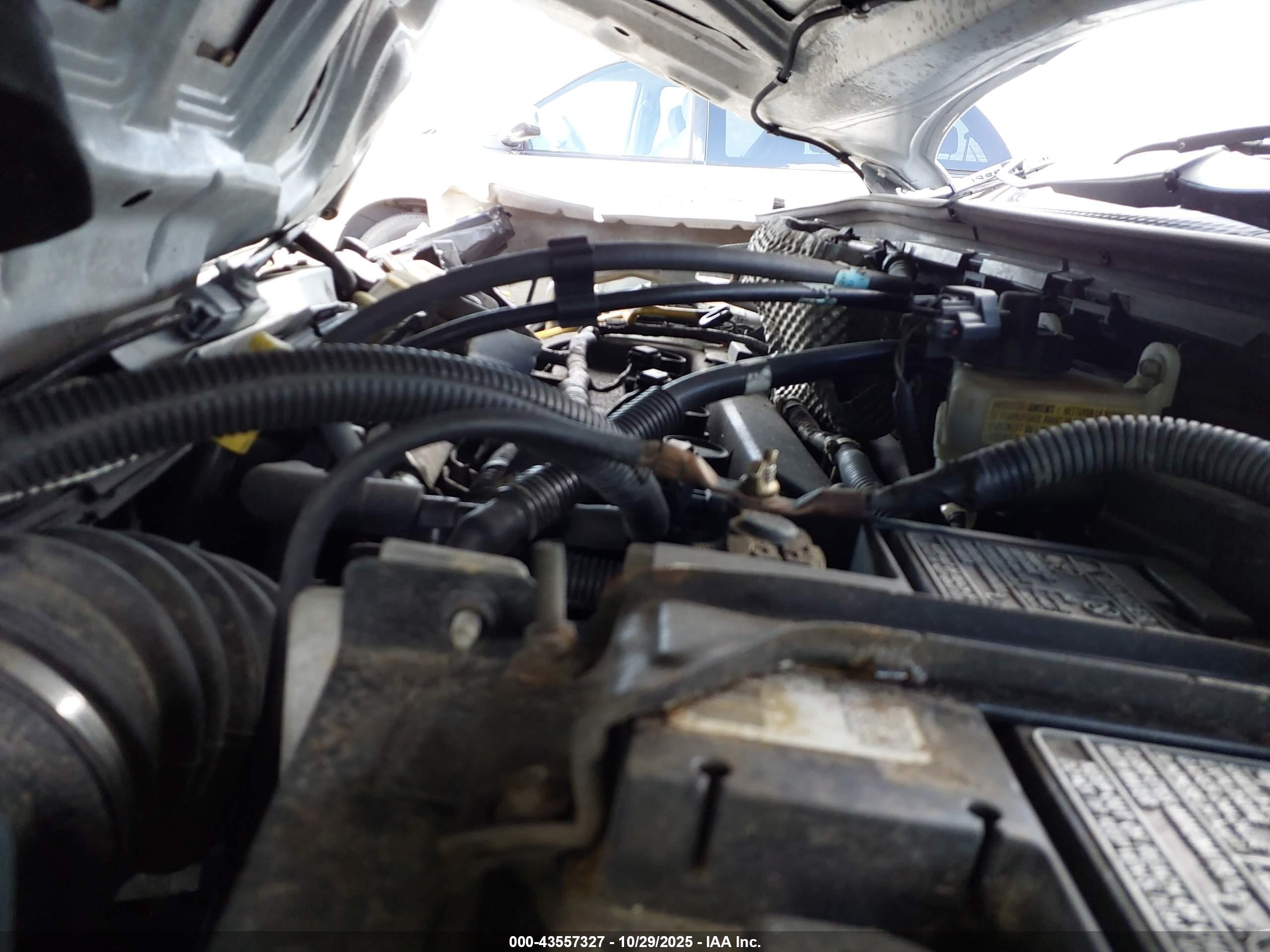 FORD FOCUS image 10