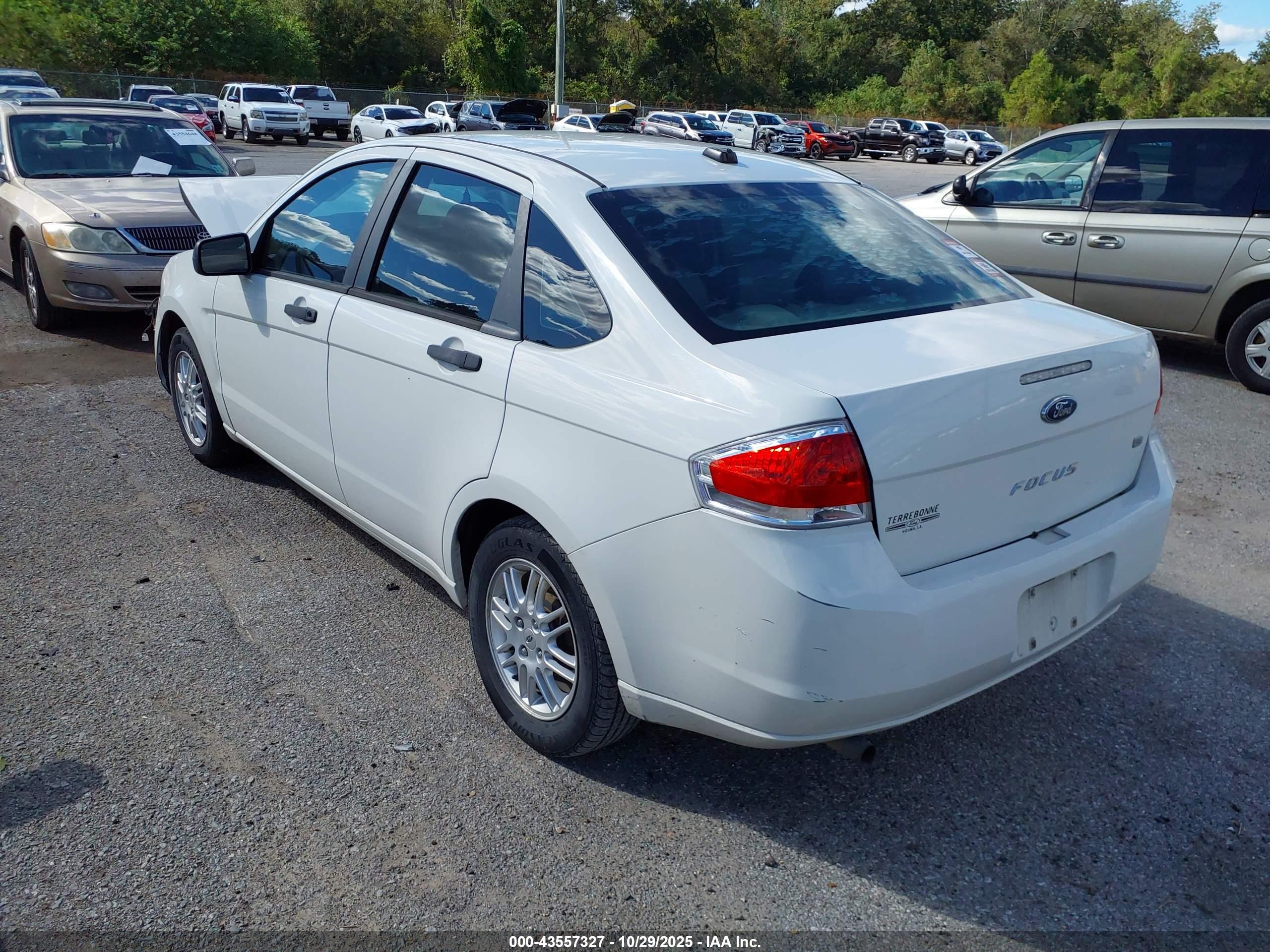 FORD FOCUS image 3