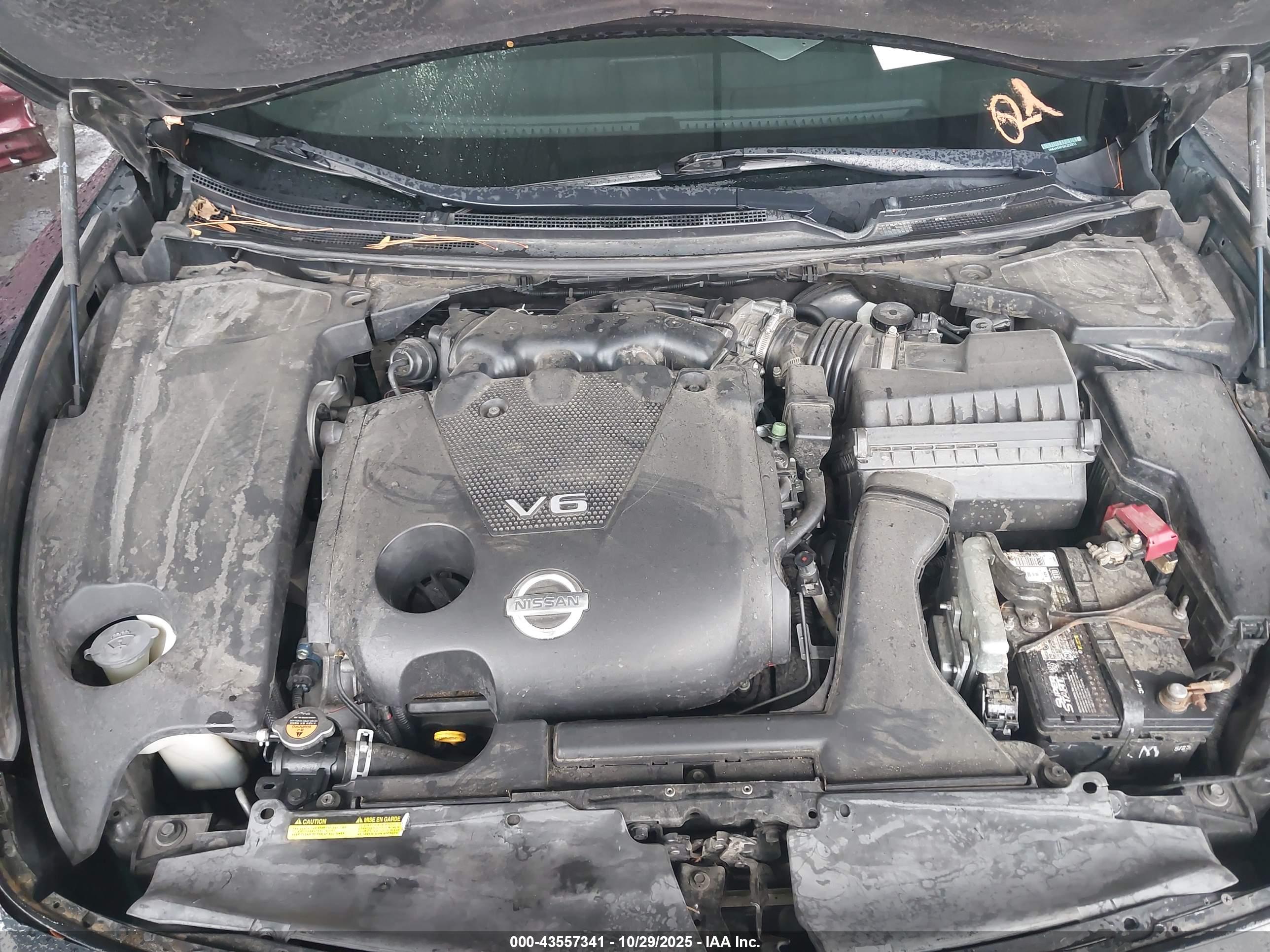 NISSAN MAXIMA image 10