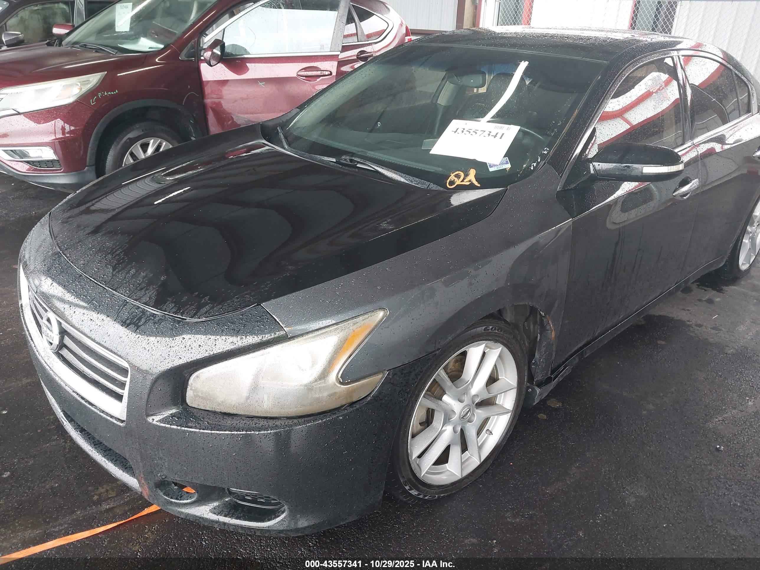 NISSAN MAXIMA image 2