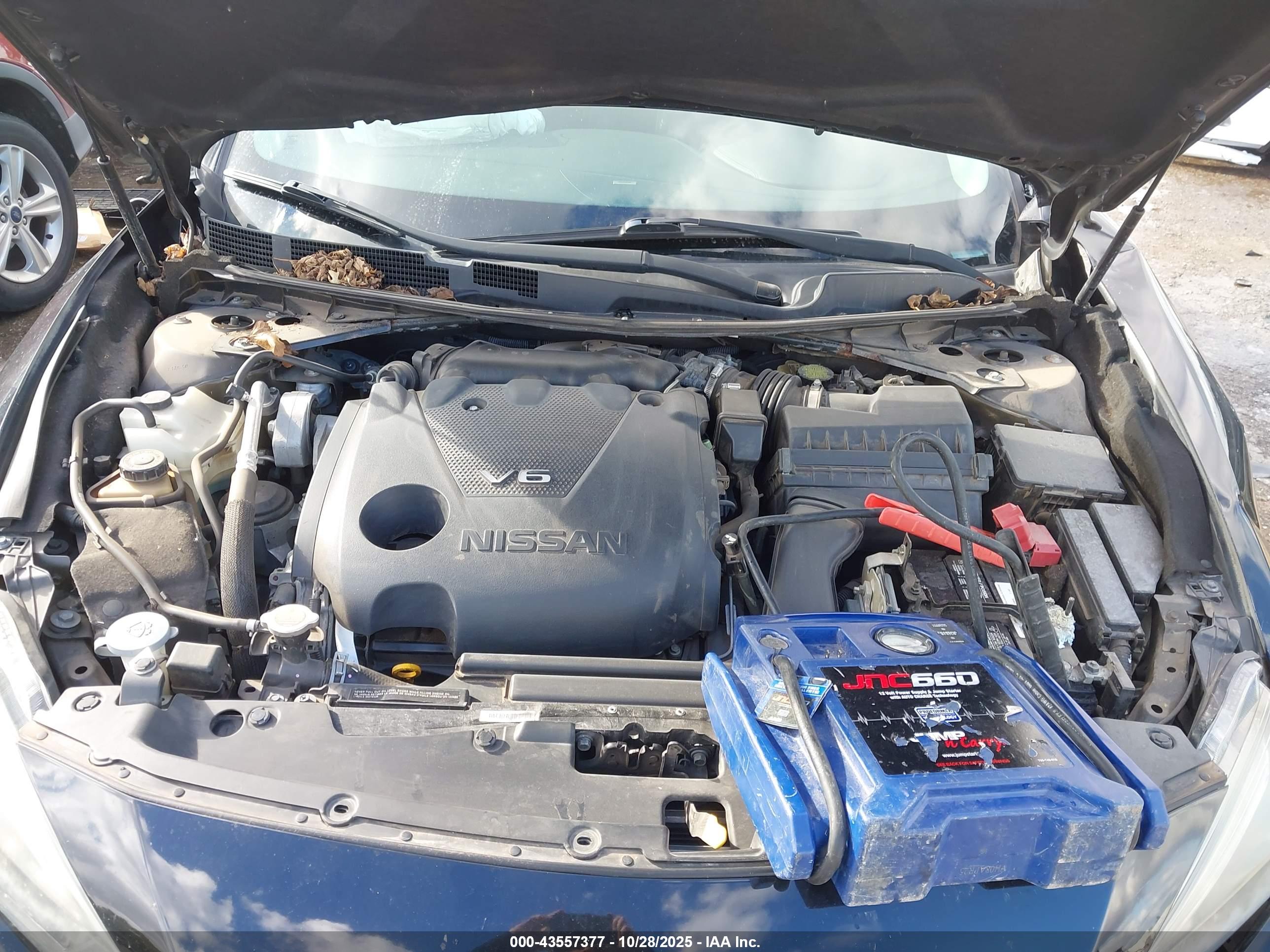 NISSAN MAXIMA image 10