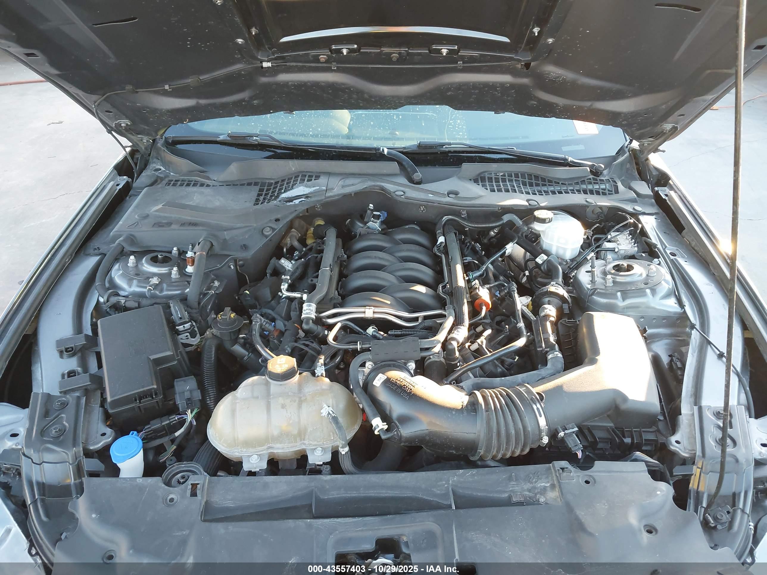 FORD MUSTANG image 10