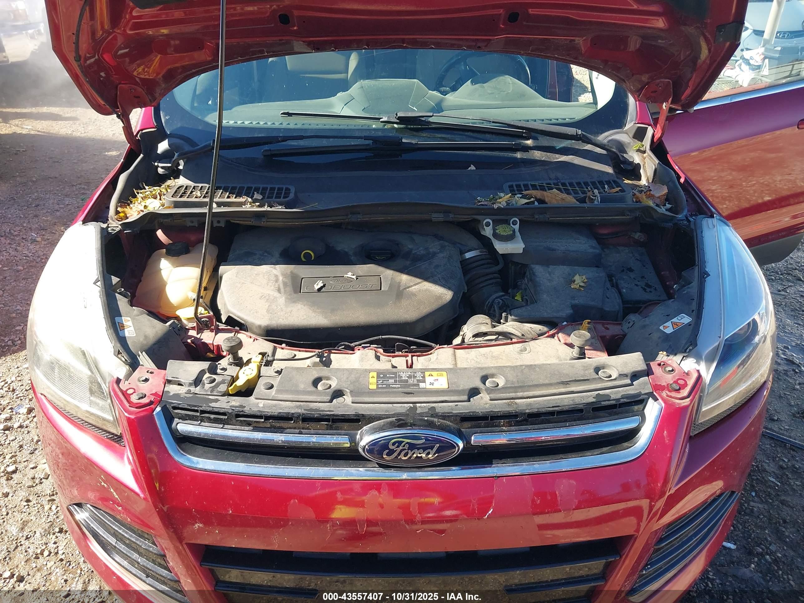 FORD ESCAPE image 10