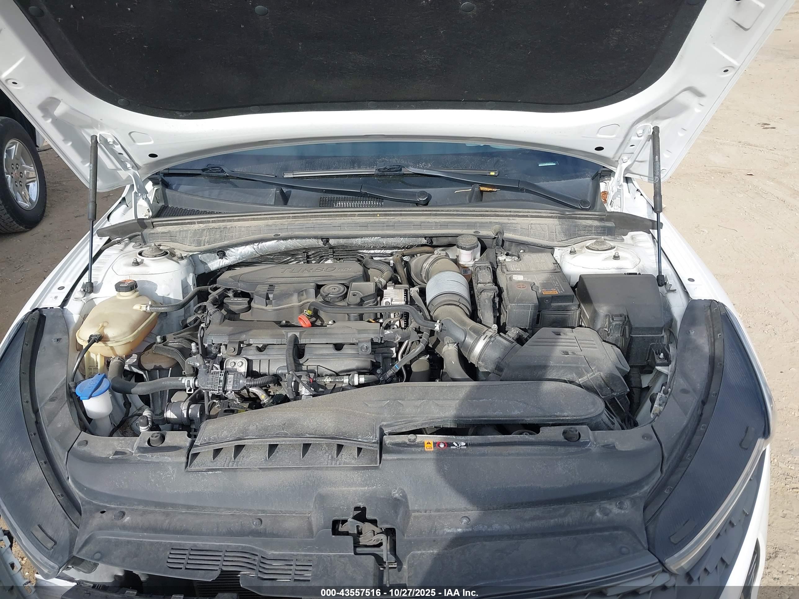 KIA K5 image 10
