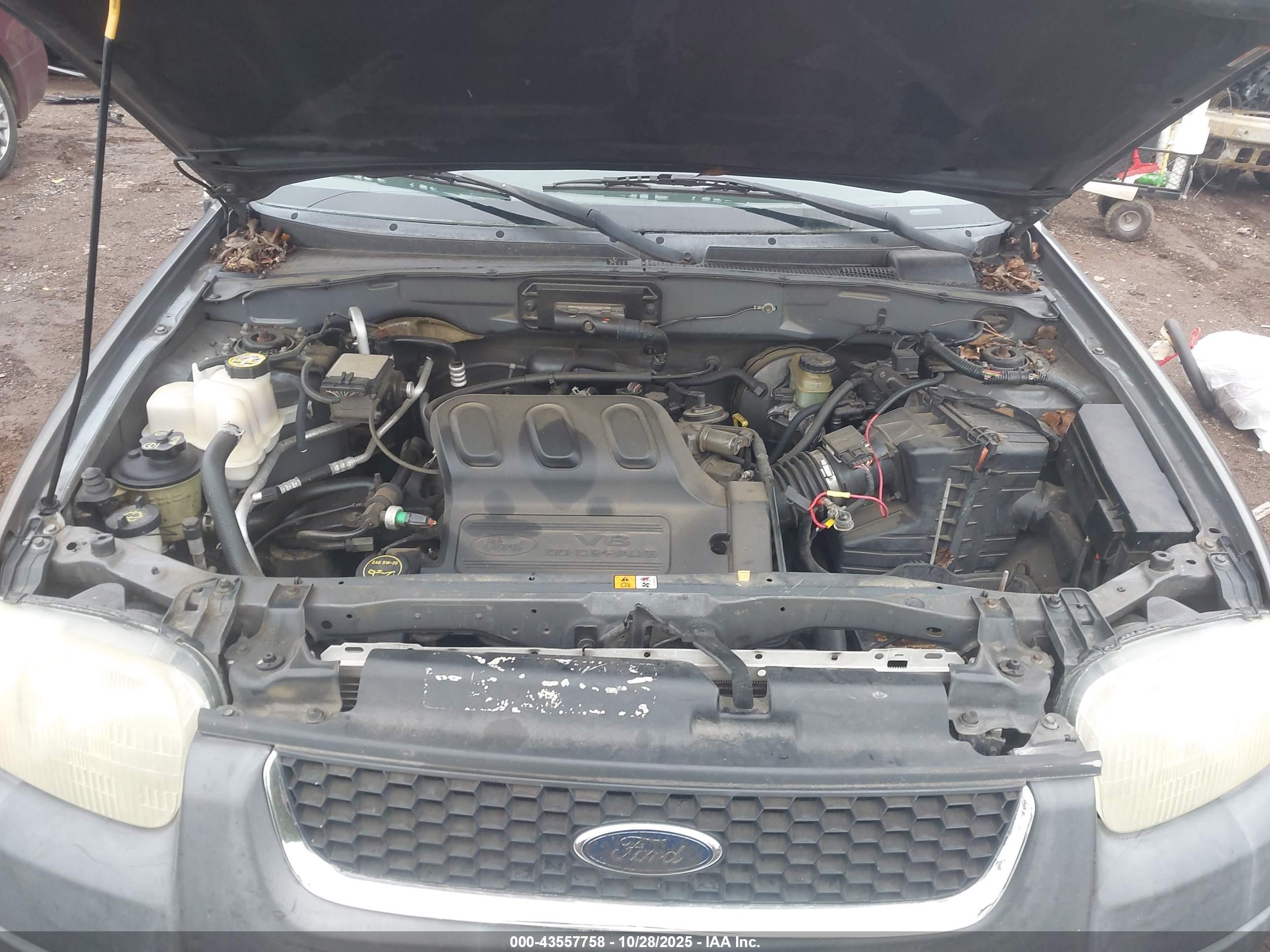 FORD ESCAPE image 10