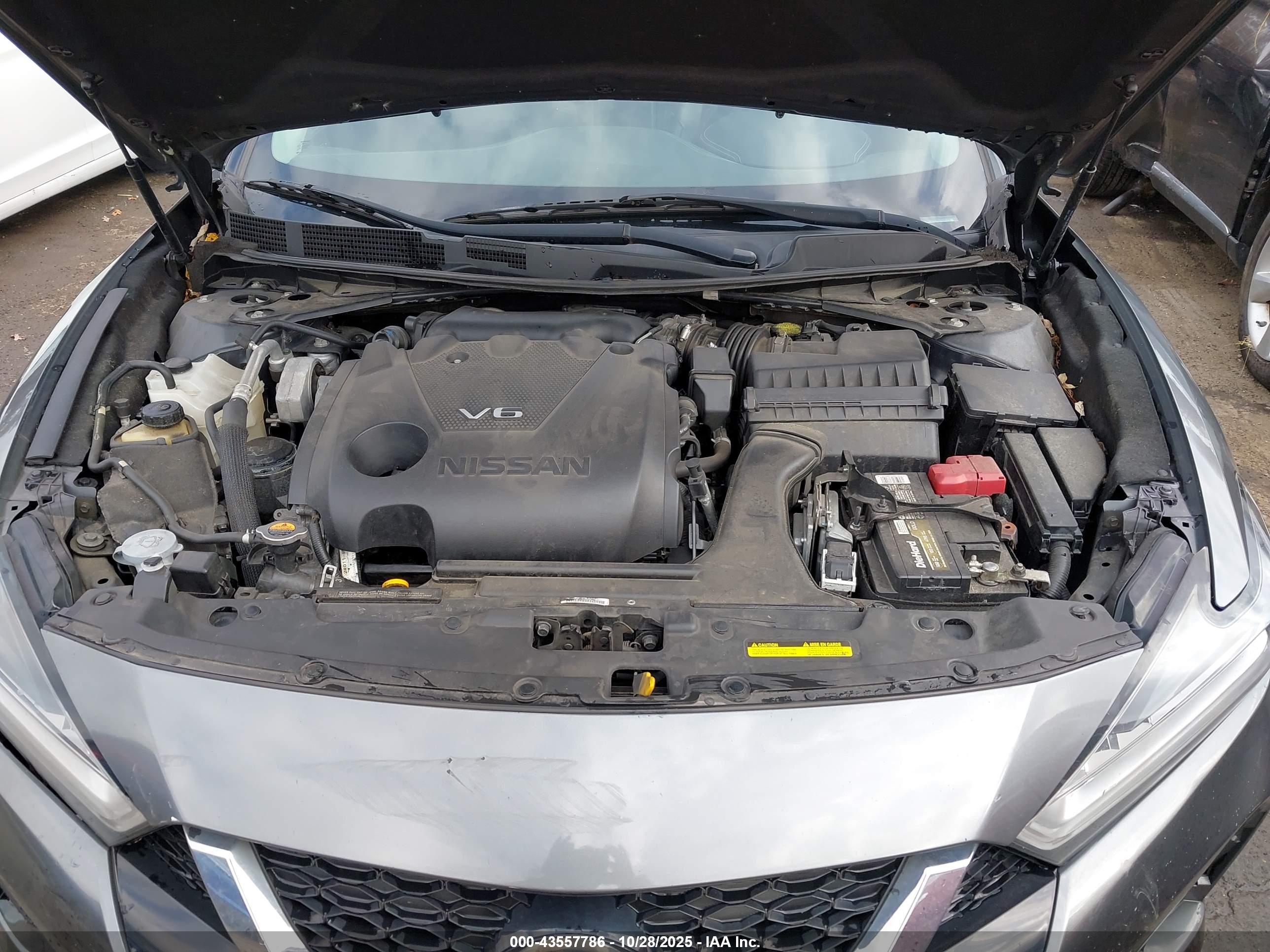 NISSAN MAXIMA image 10
