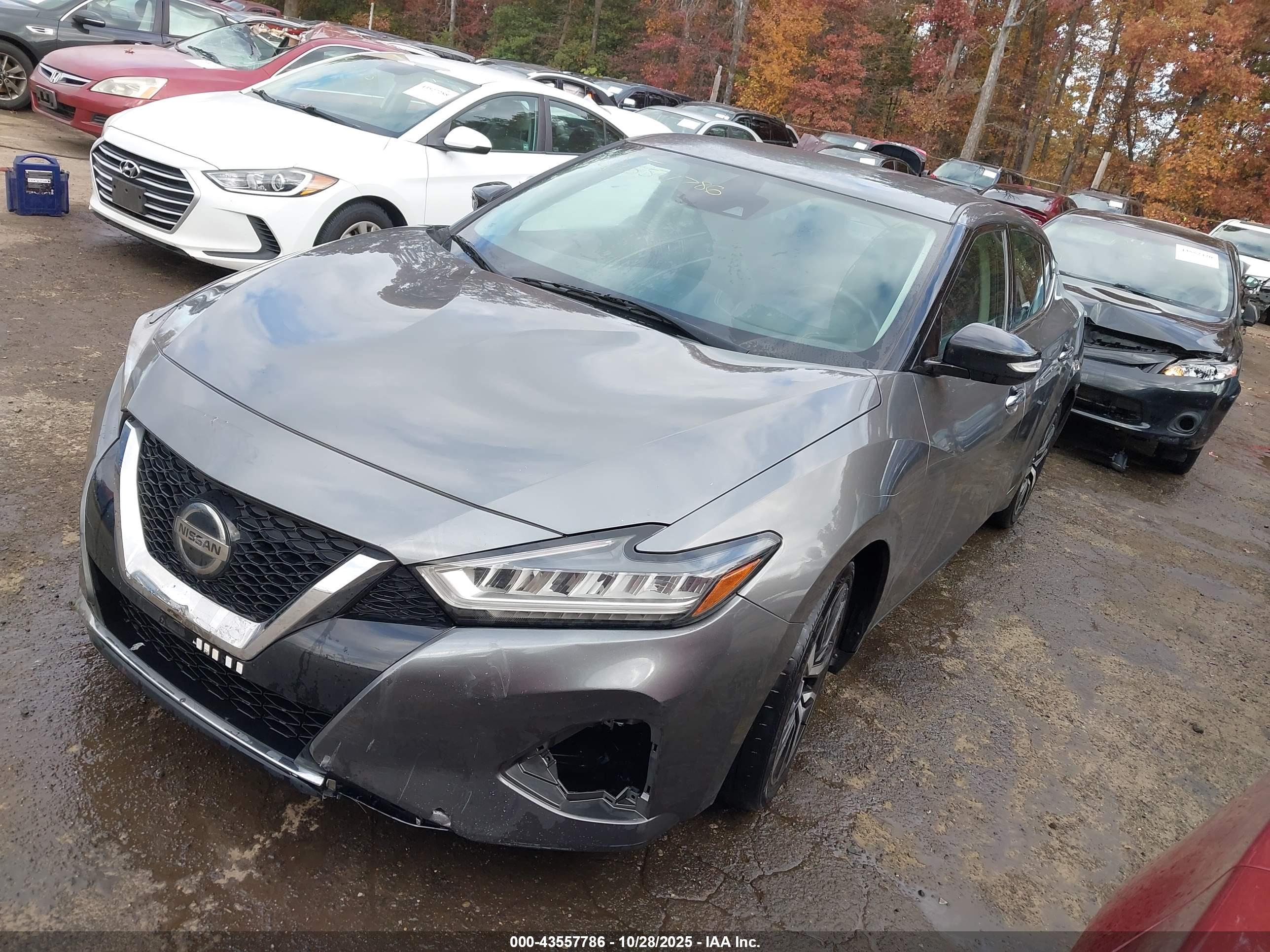 NISSAN MAXIMA image 2