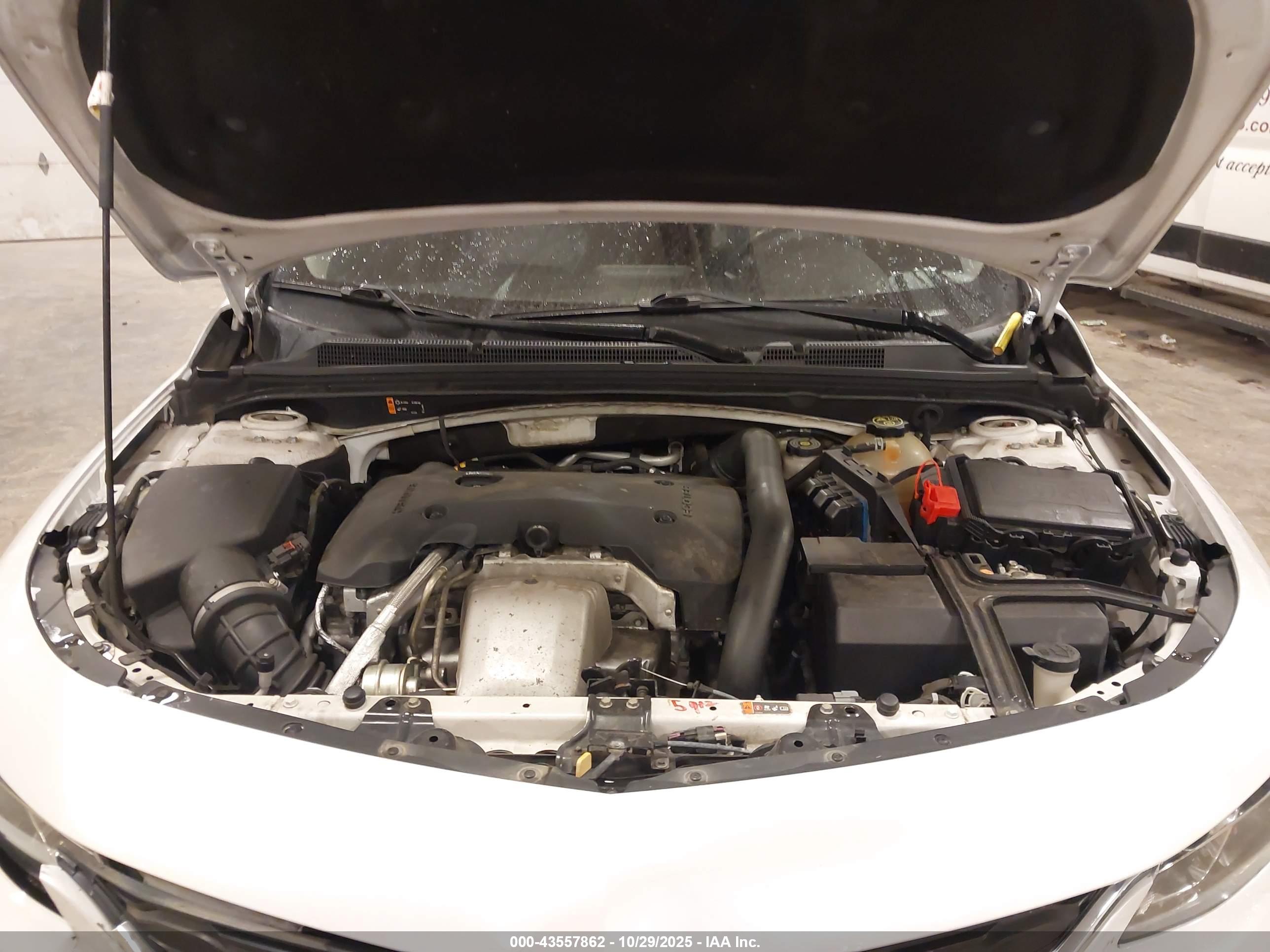 CHEVROLET MALIBU image 10