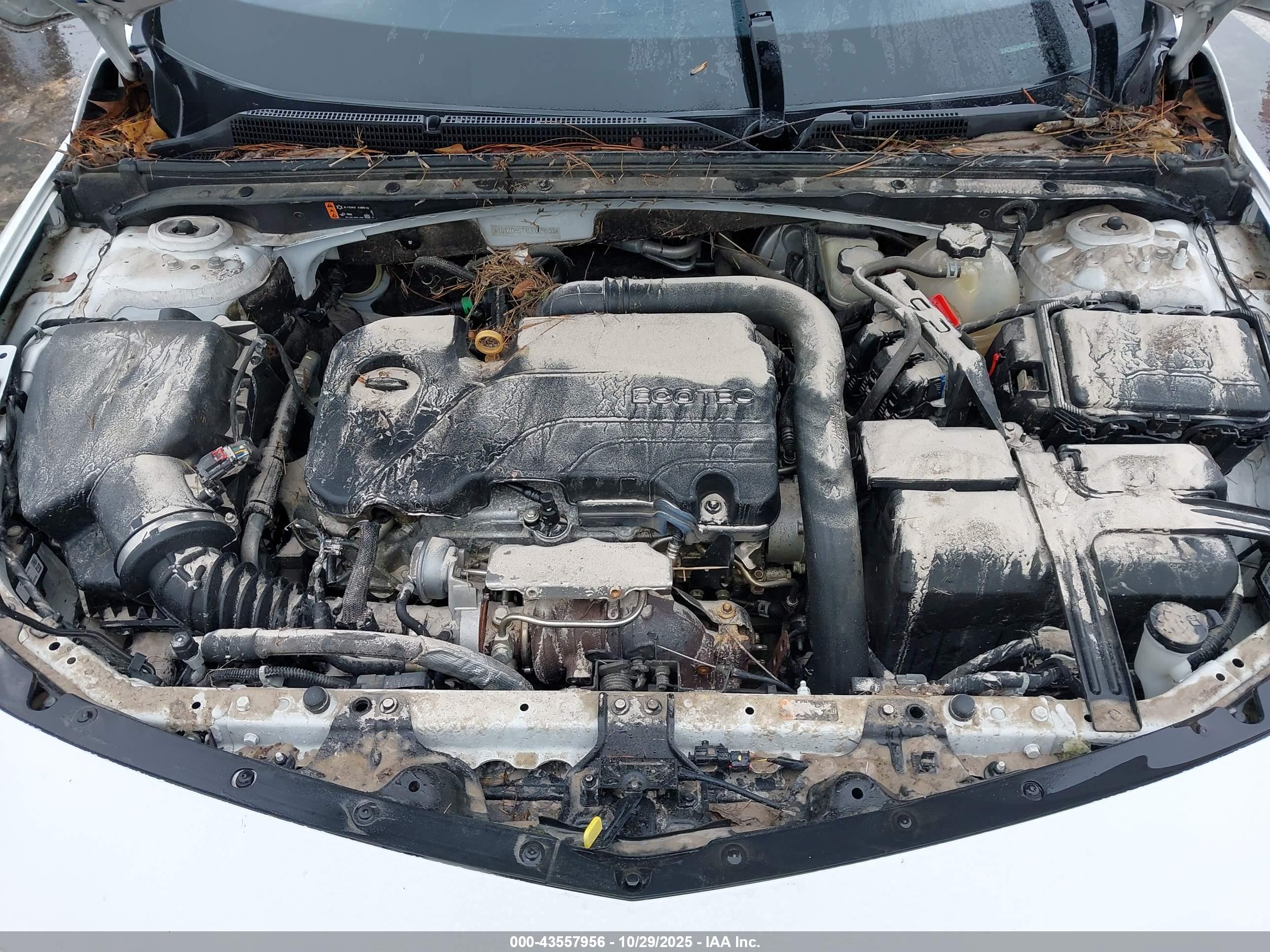 CHEVROLET MALIBU image 10