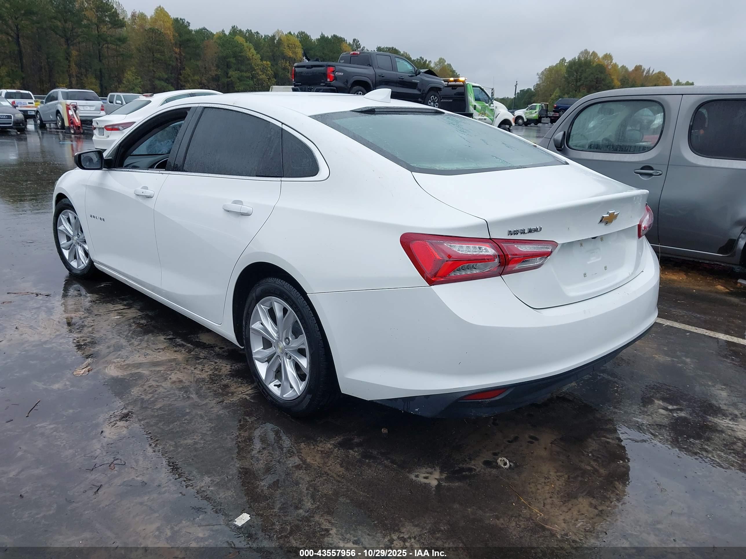 CHEVROLET MALIBU image 3